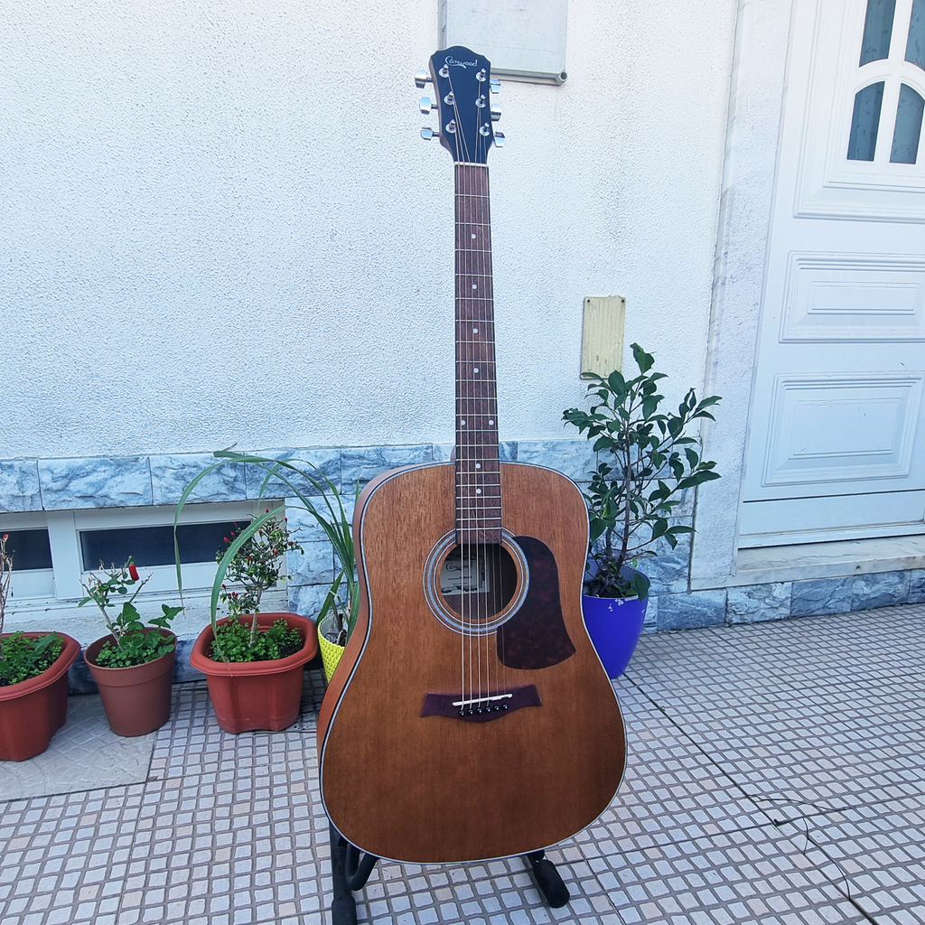 Guitarra Camwood IW-240 MNS