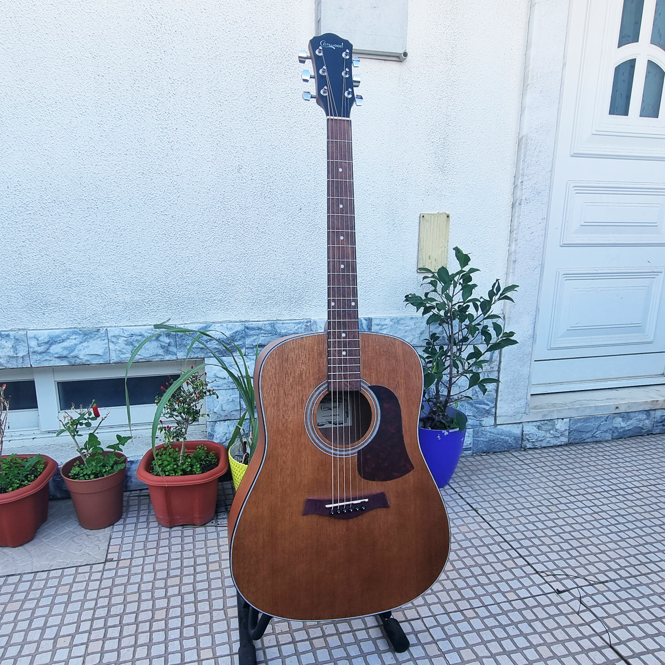 Guitarra Camwood IW-240 MNS