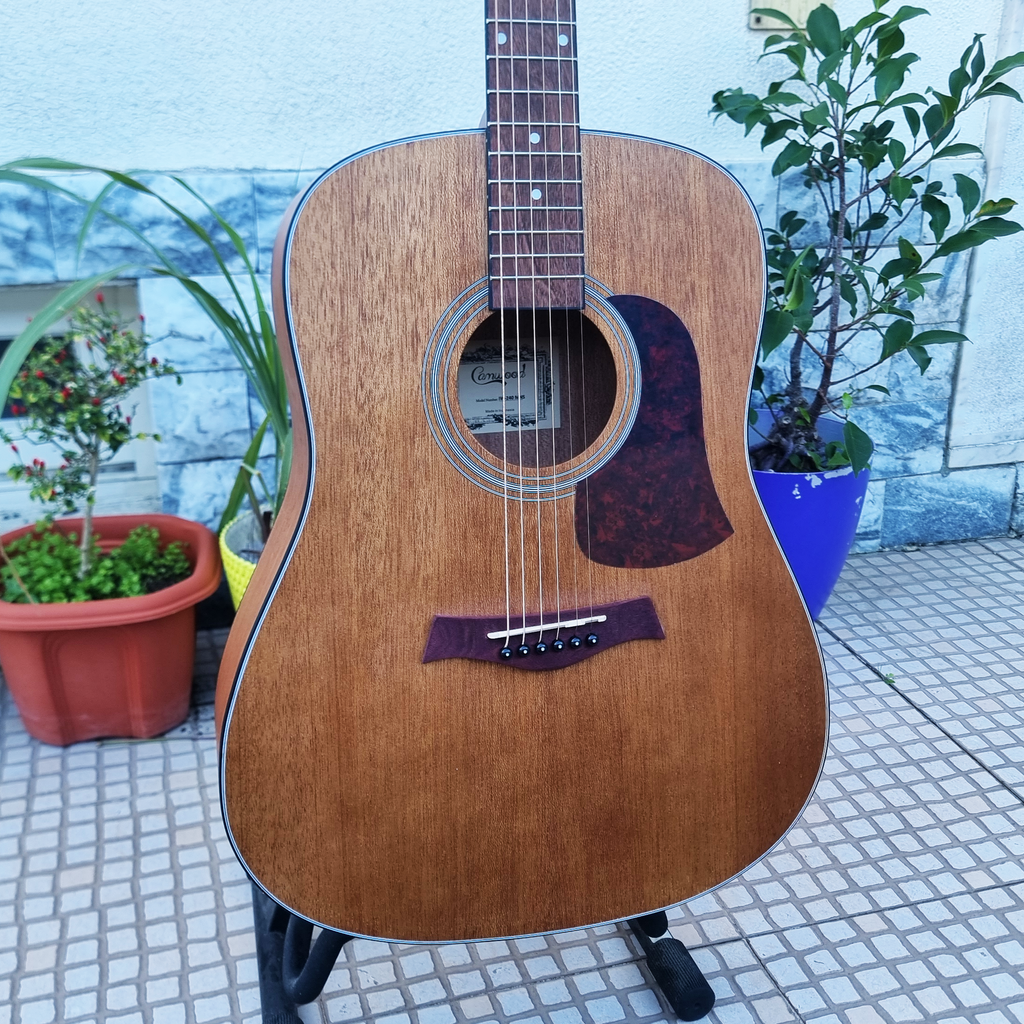 Guitarra Camwood IW-240 MNS