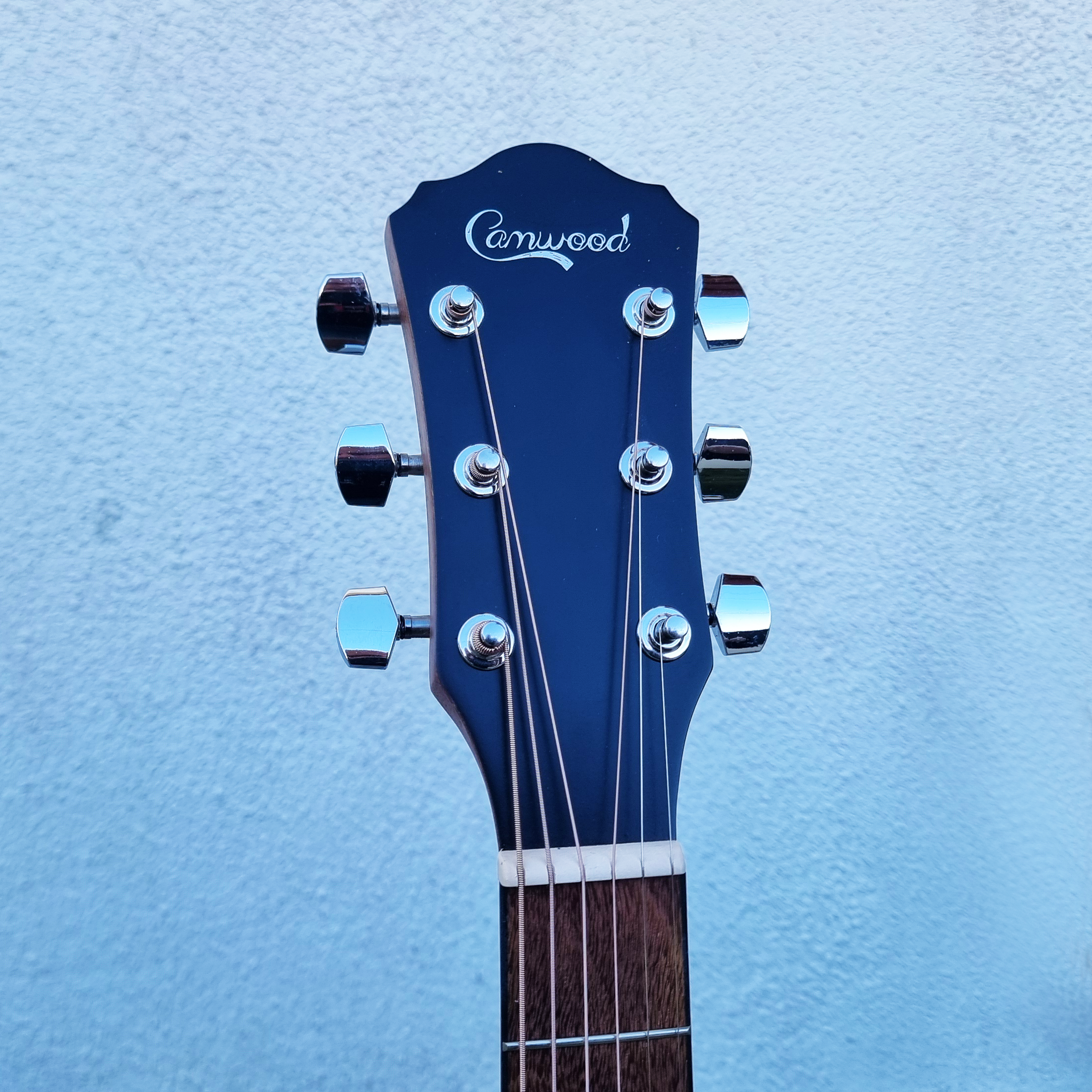 Guitarra Camwood IW-240 MNS