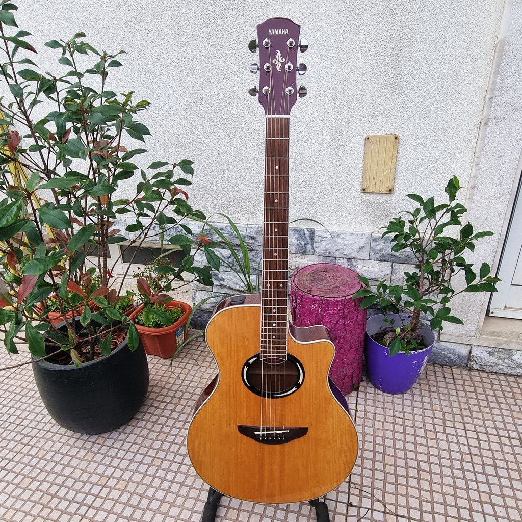 Guitarra Yamaha APX500 NT