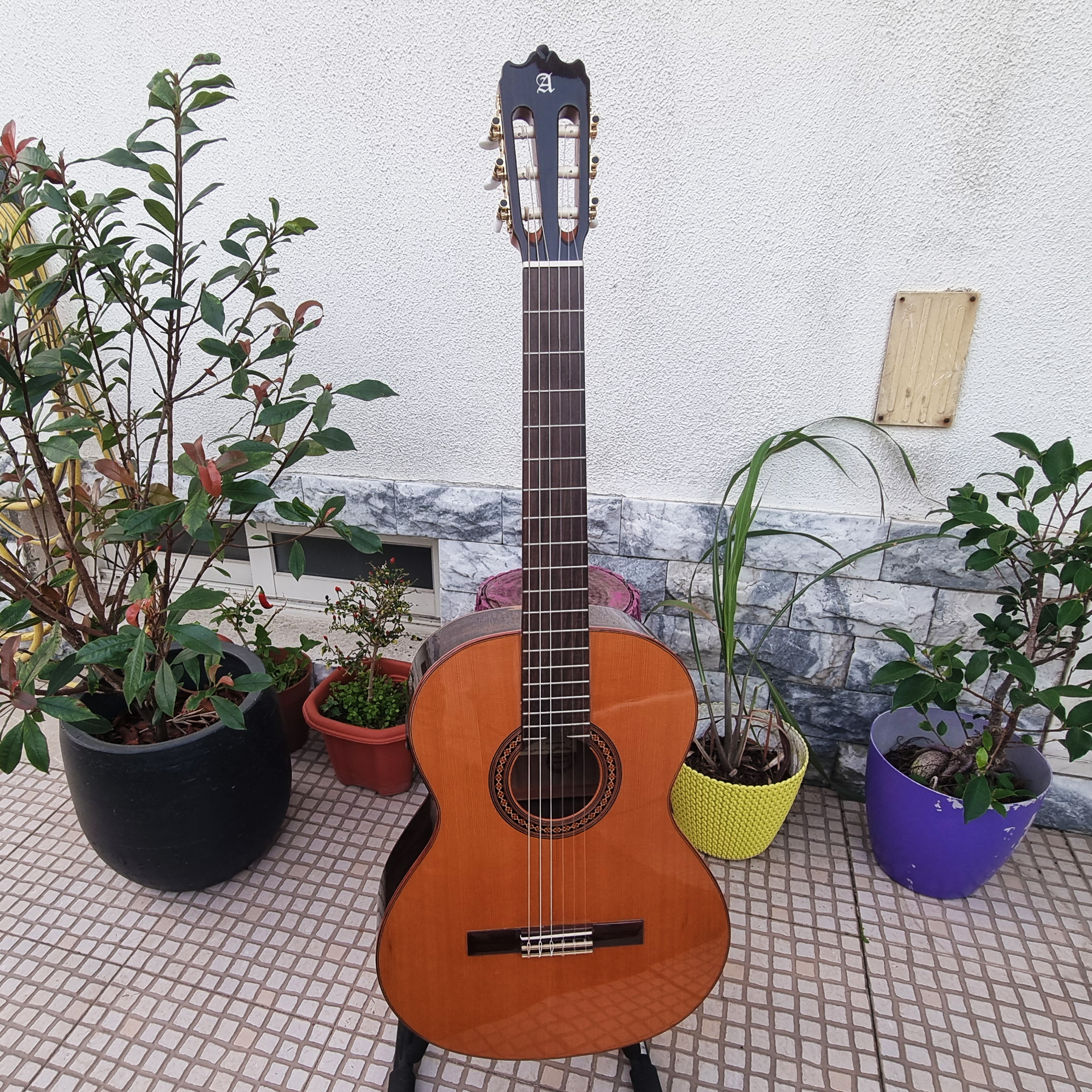 Guitarra Alhambra Iberia Ziricote