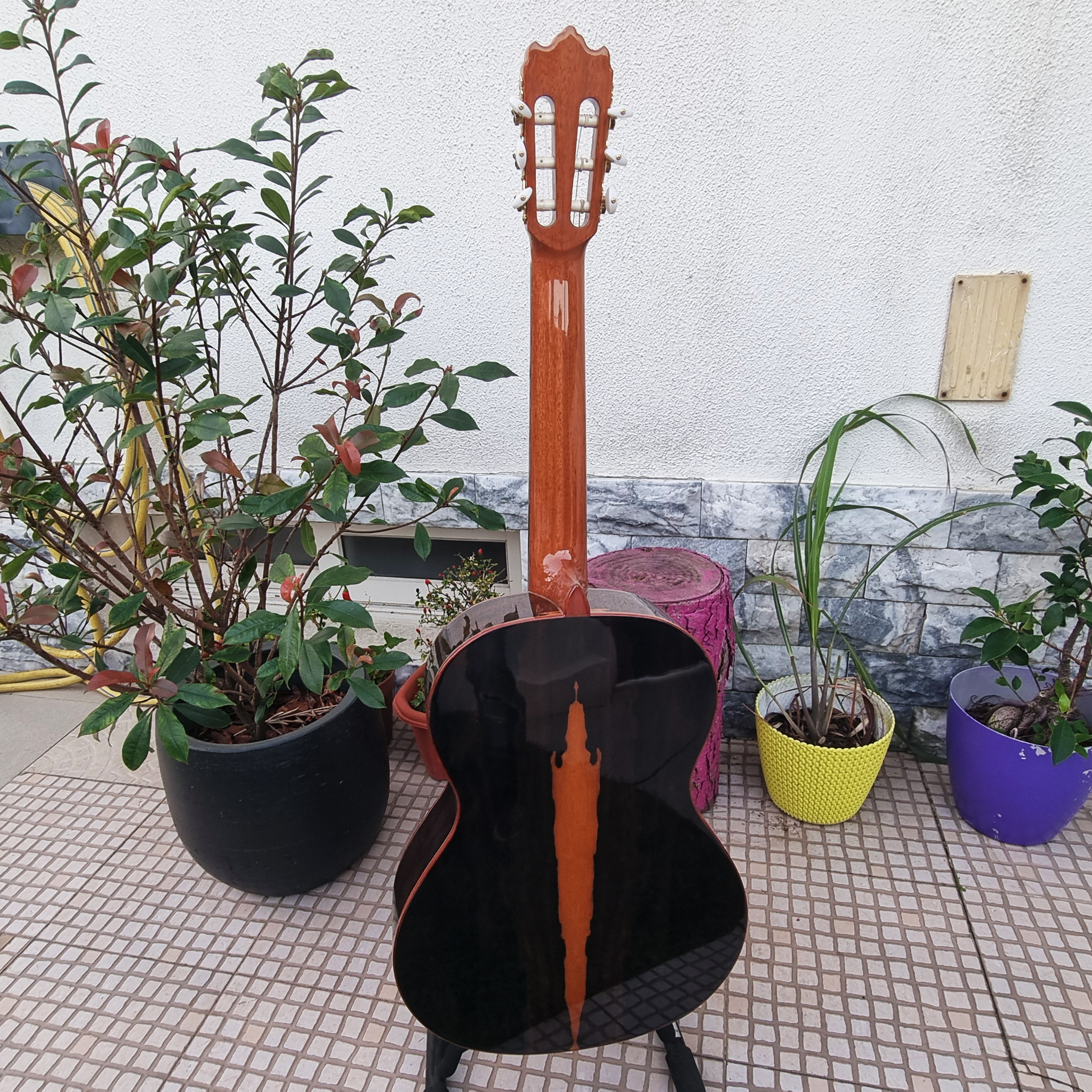 Guitarra Alhambra Iberia Ziricote