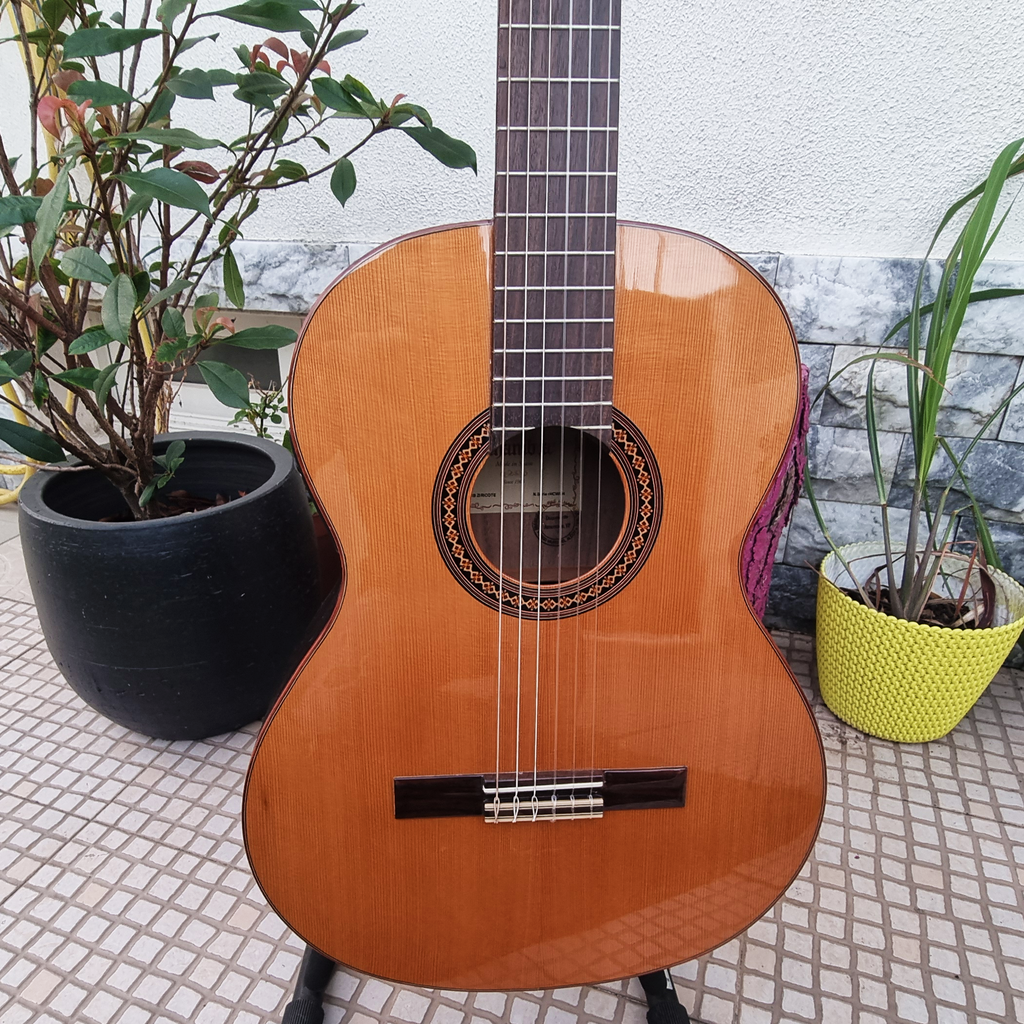 Guitarra Alhambra Iberia Ziricote