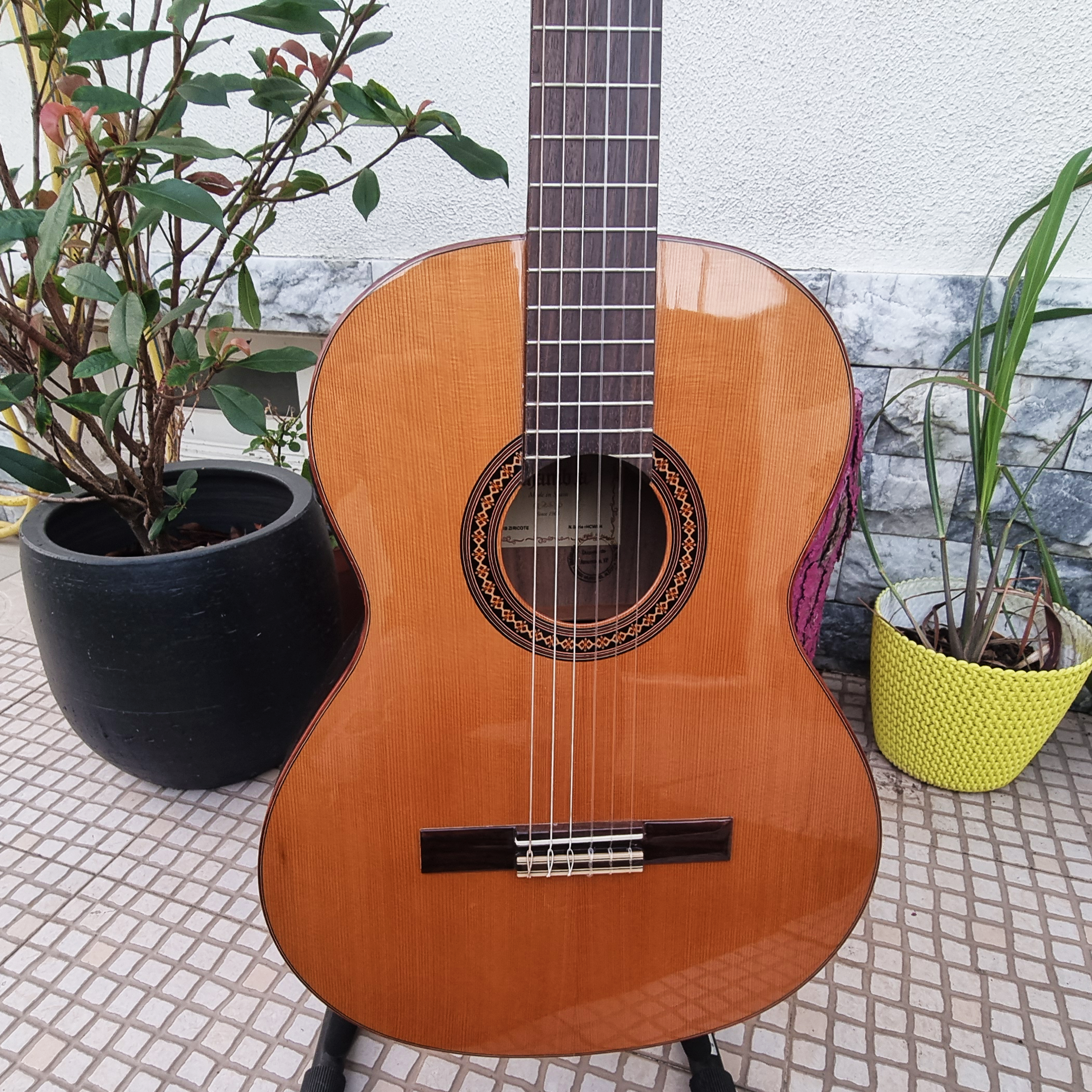 Guitarra Alhambra Iberia Ziricote