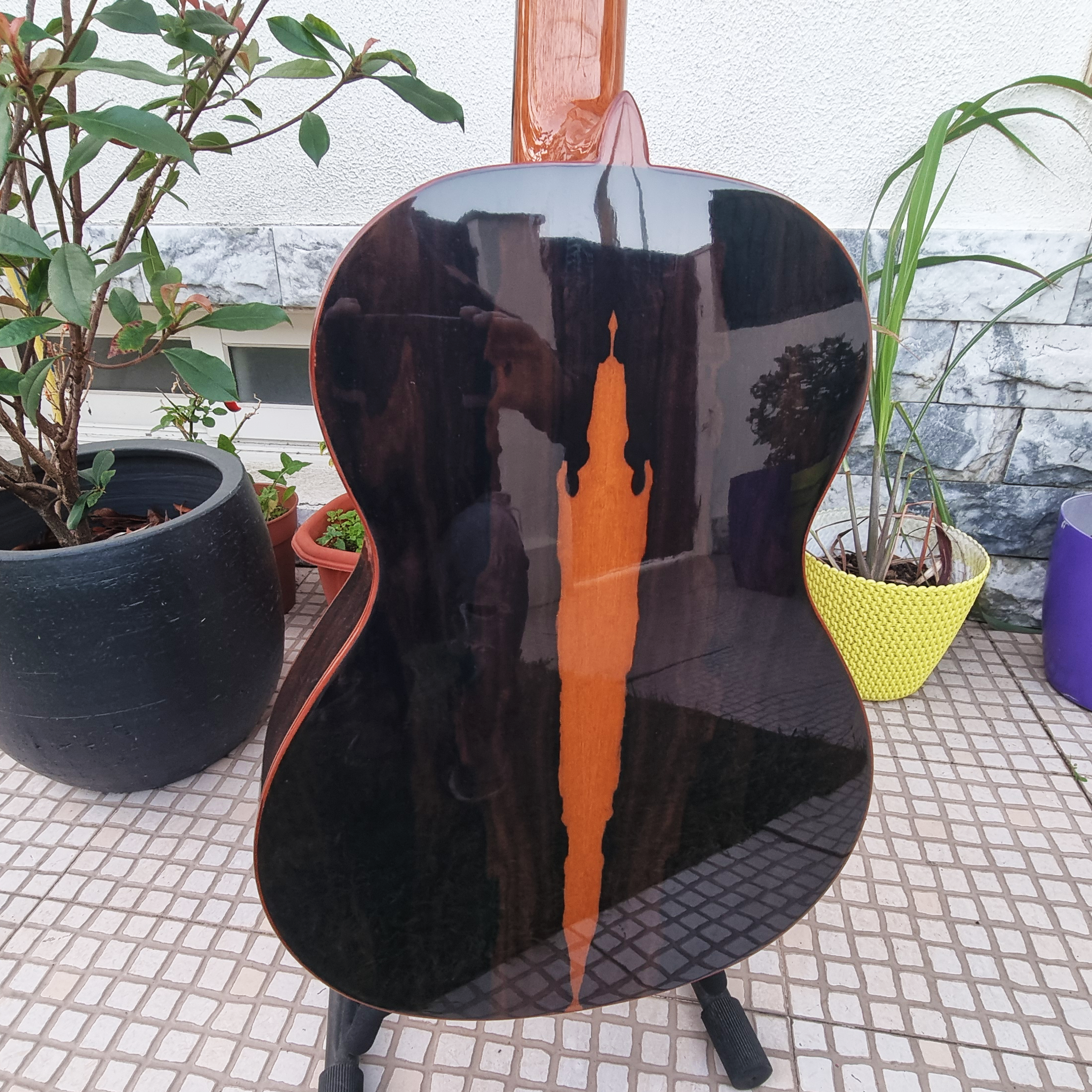 Guitarra Alhambra Iberia Ziricote