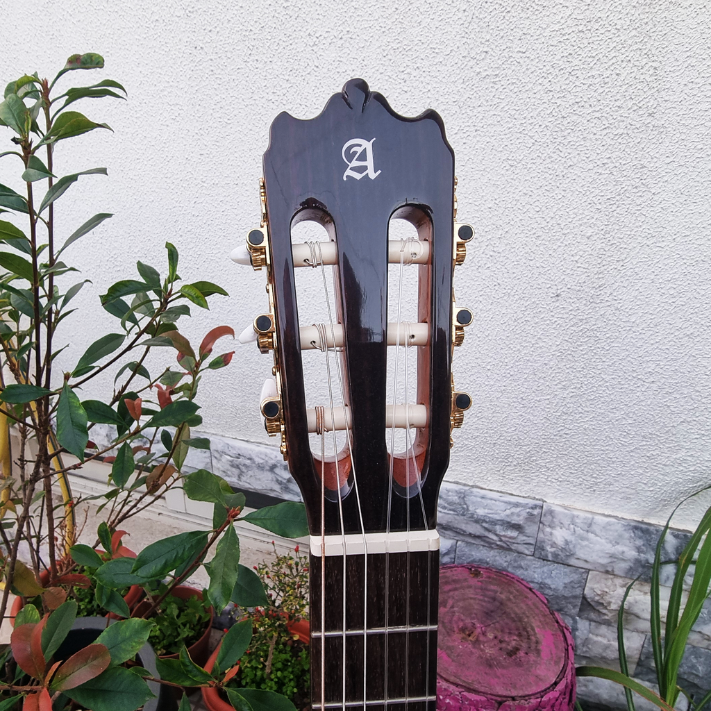 Guitarra Alhambra Iberia Ziricote
