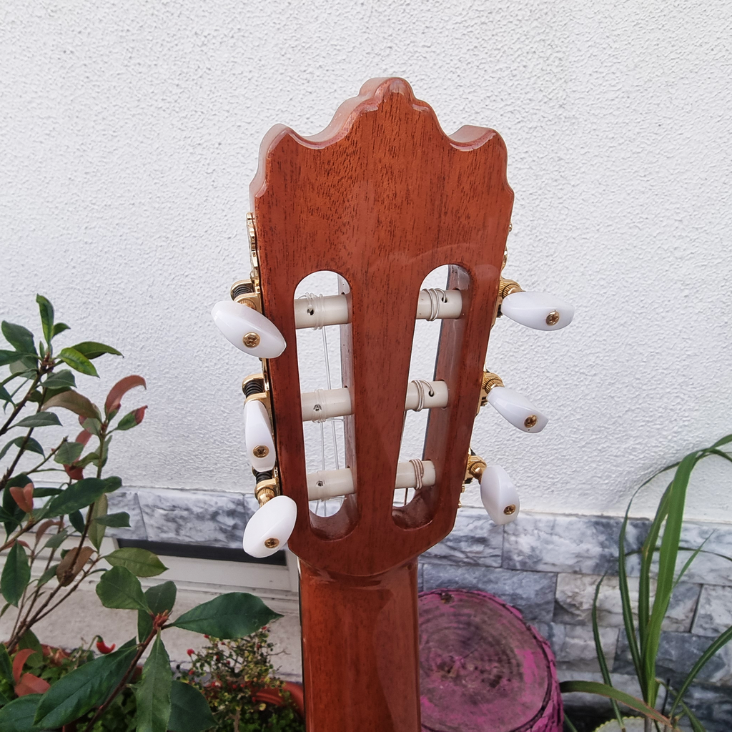 Guitarra Alhambra Iberia Ziricote