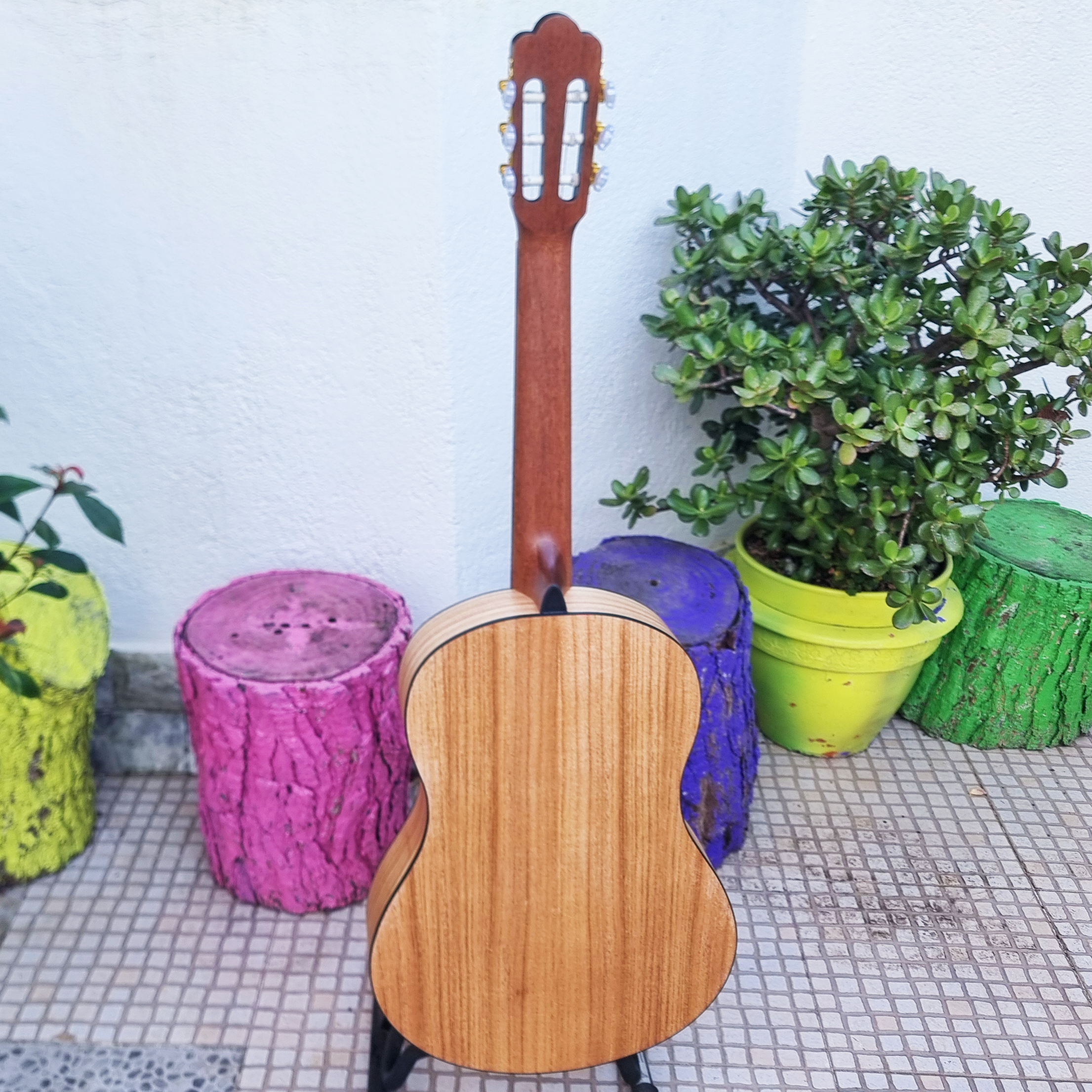 Guitarra classica Camwood IC-100D NA