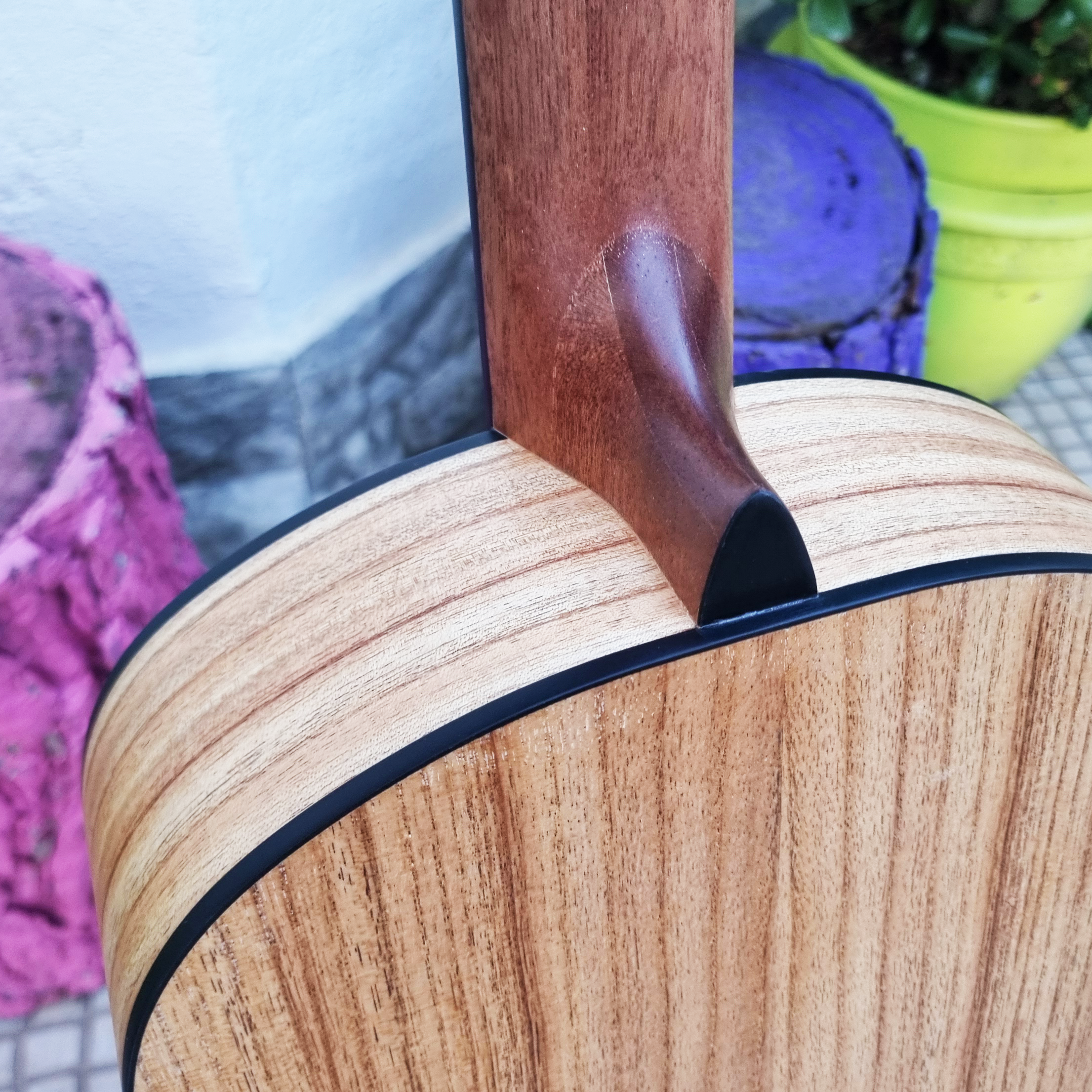 Guitarra classica Camwood IC-100D NA