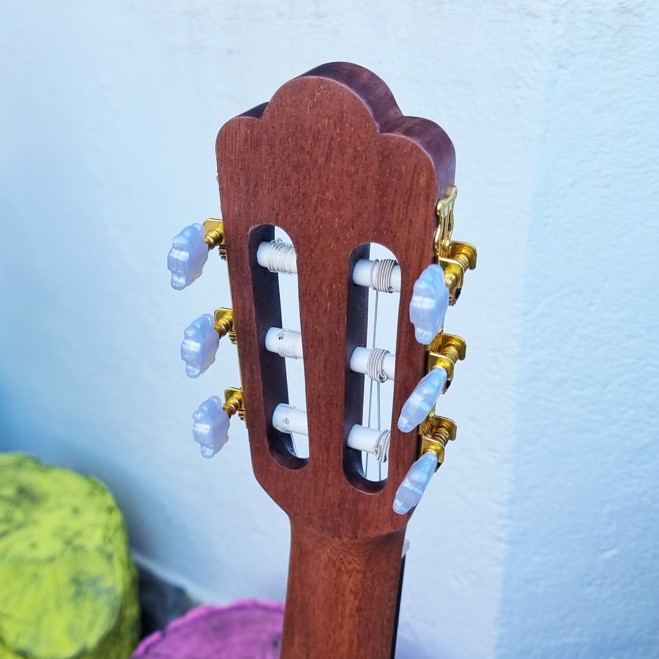 Guitarra classica Camwood IC-100D NA