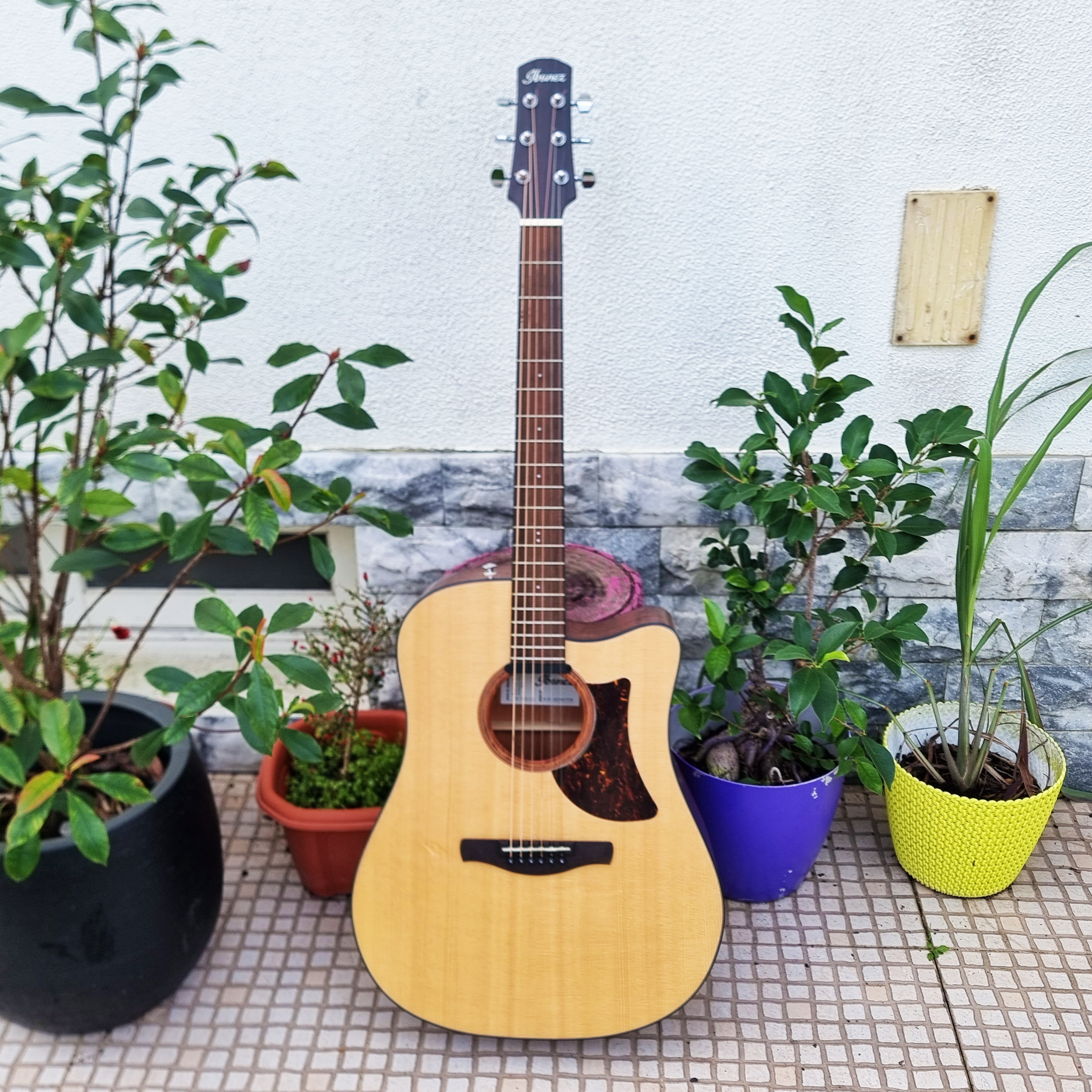 Guitarra Ibanez AAD170CE-LGS