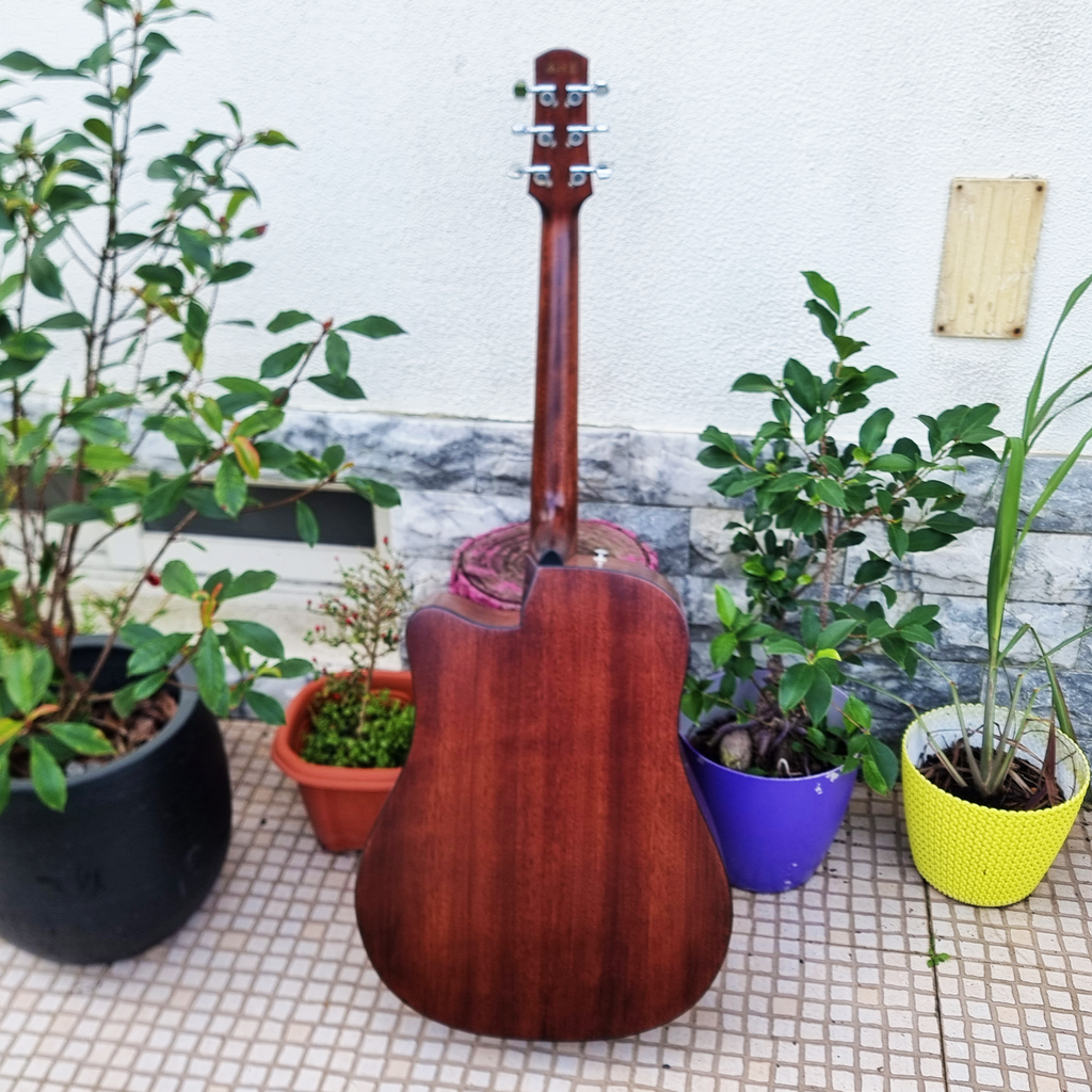 Guitarra Ibanez AAD170CE-LGS