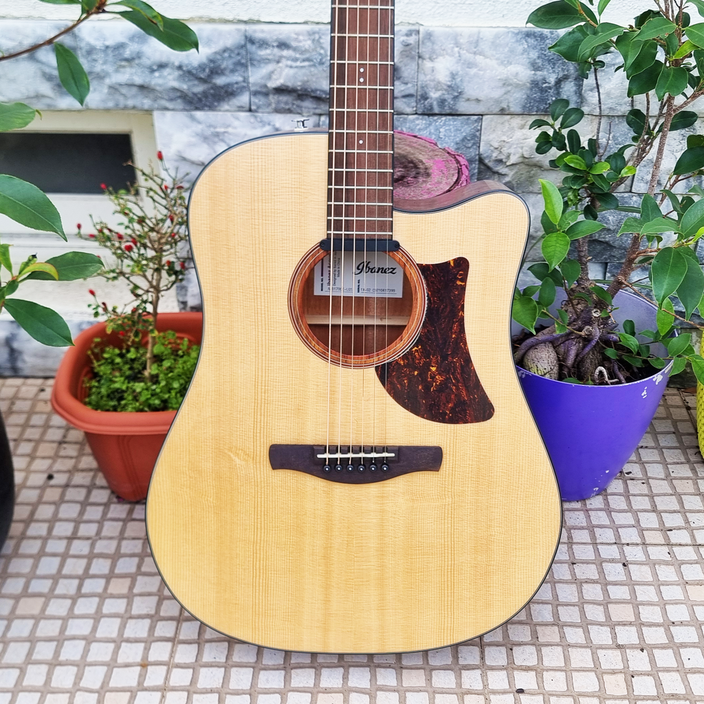 Guitarra Ibanez AAD170CE-LGS