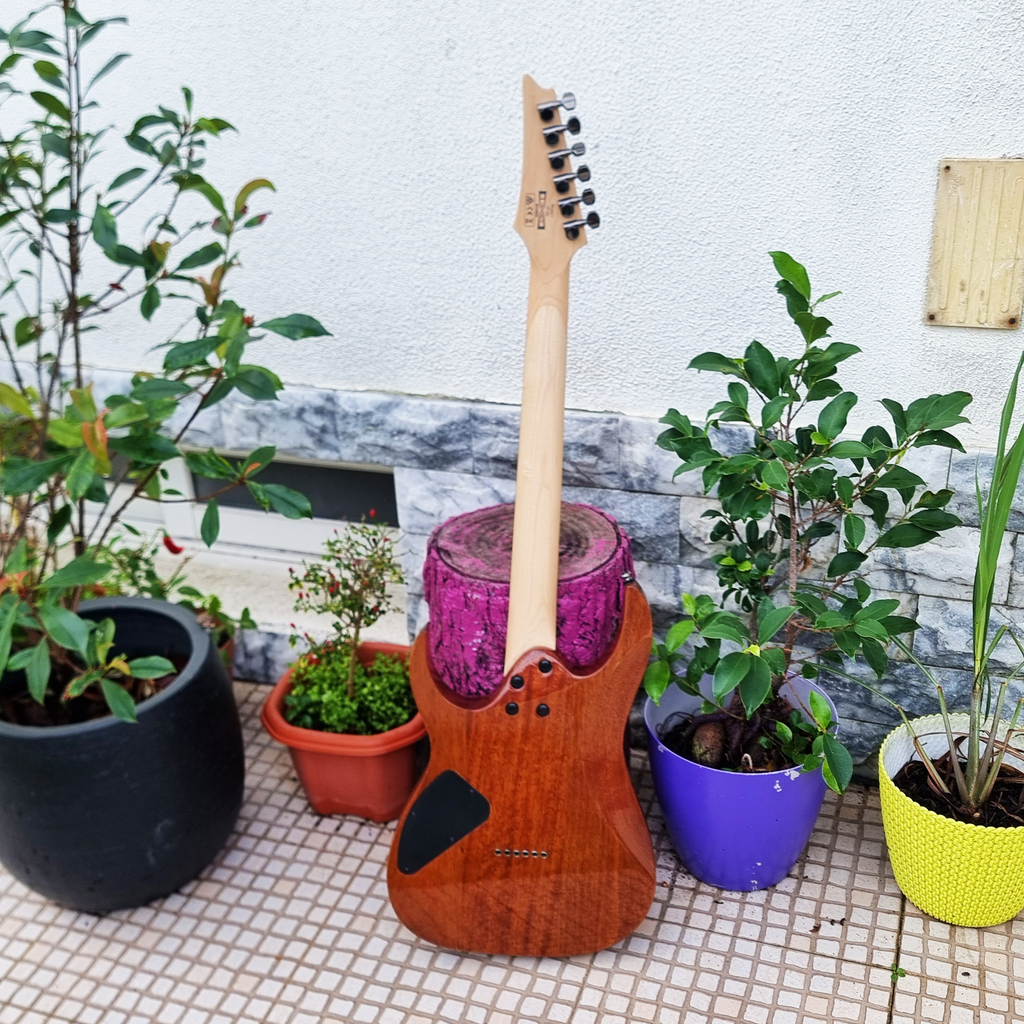 Guitarra Ibanez RG421 com Seymour Duncan