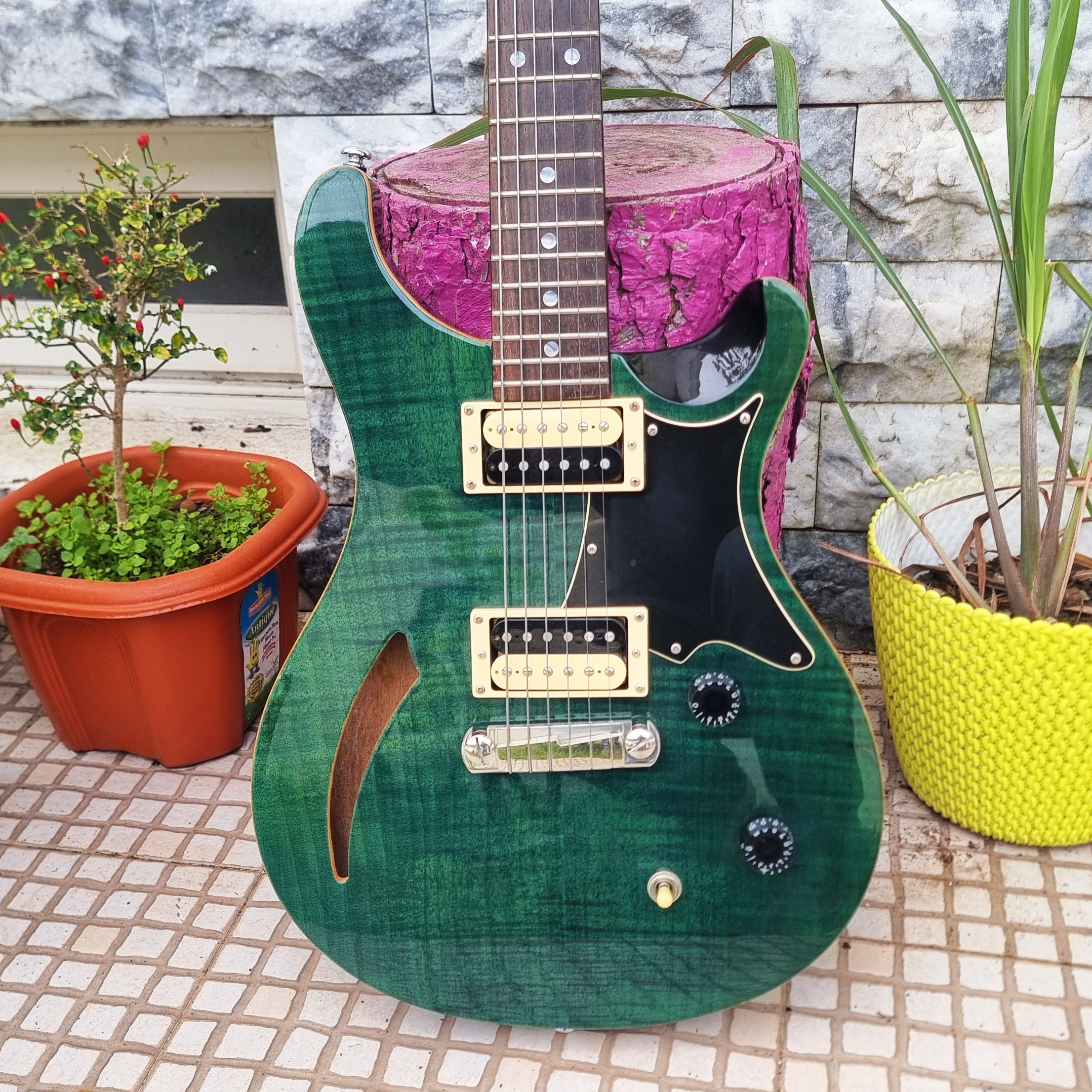 Guitarra PRS SE Custom 24 Emerald Green