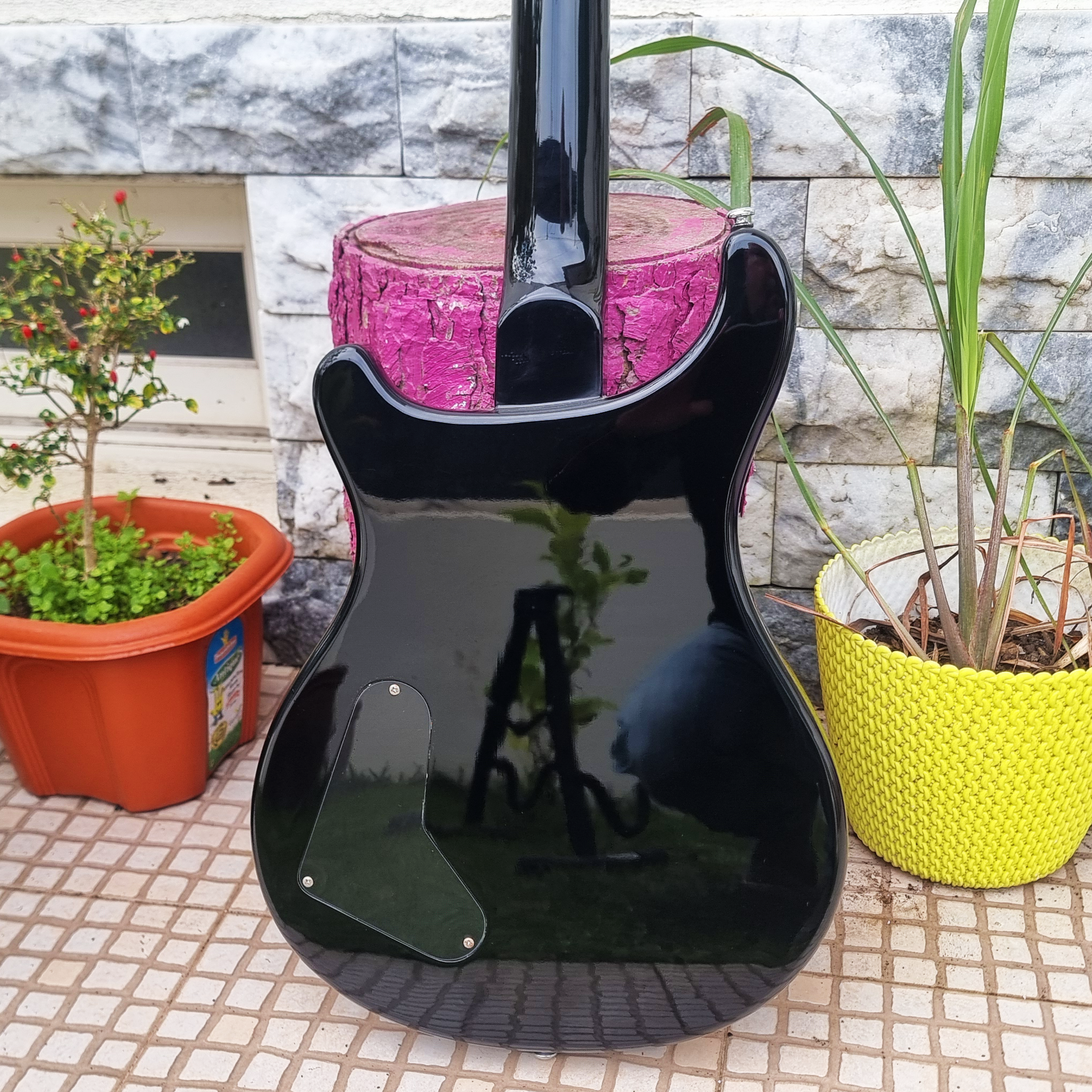 Guitarra PRS SE Custom 24 Emerald Green