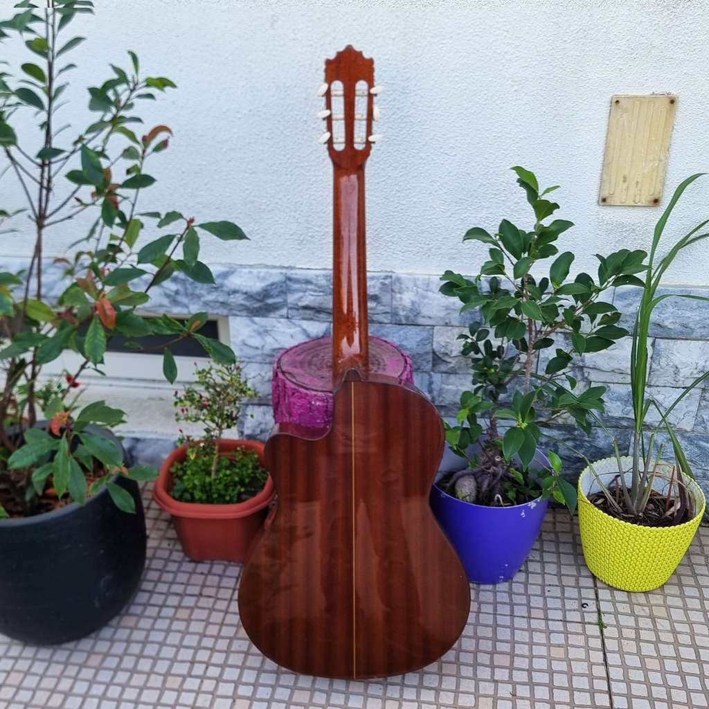 Guitarra Paco Castillo 222 CE Cutaway