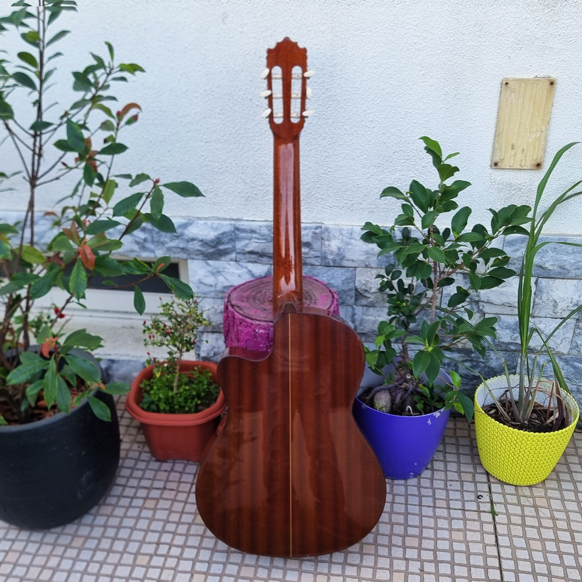 Guitarra Paco Castillo 222 CE Cutaway