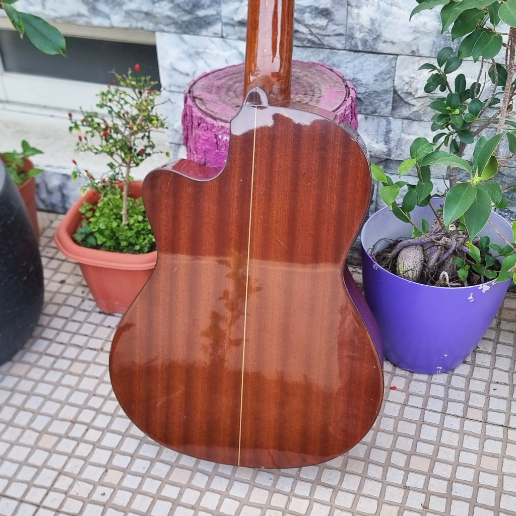 Guitarra Paco Castillo 222 CE Cutaway