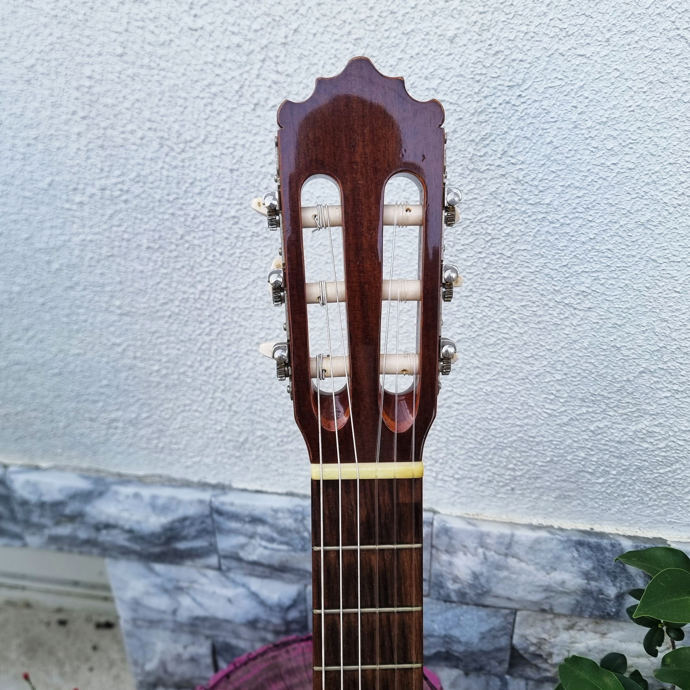 Guitarra Paco Castillo 222 CE Cutaway