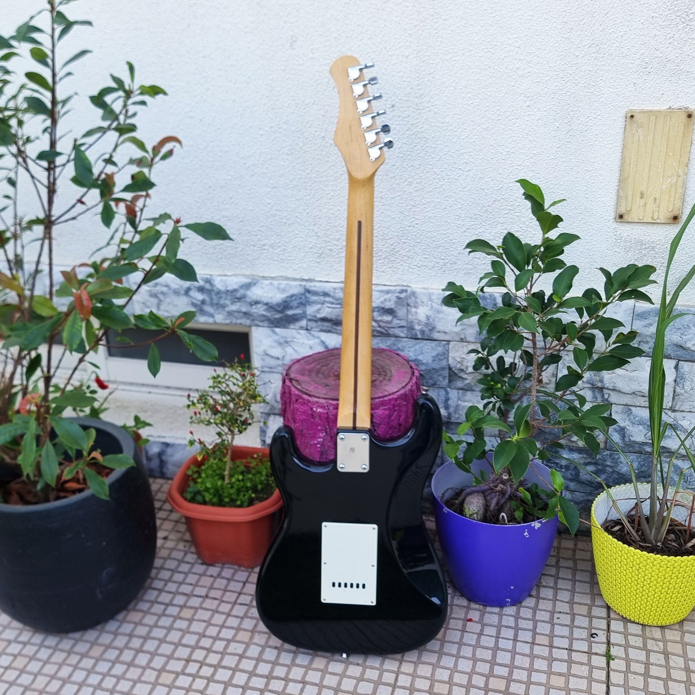 Guitarra Ridgewood Stratocaster