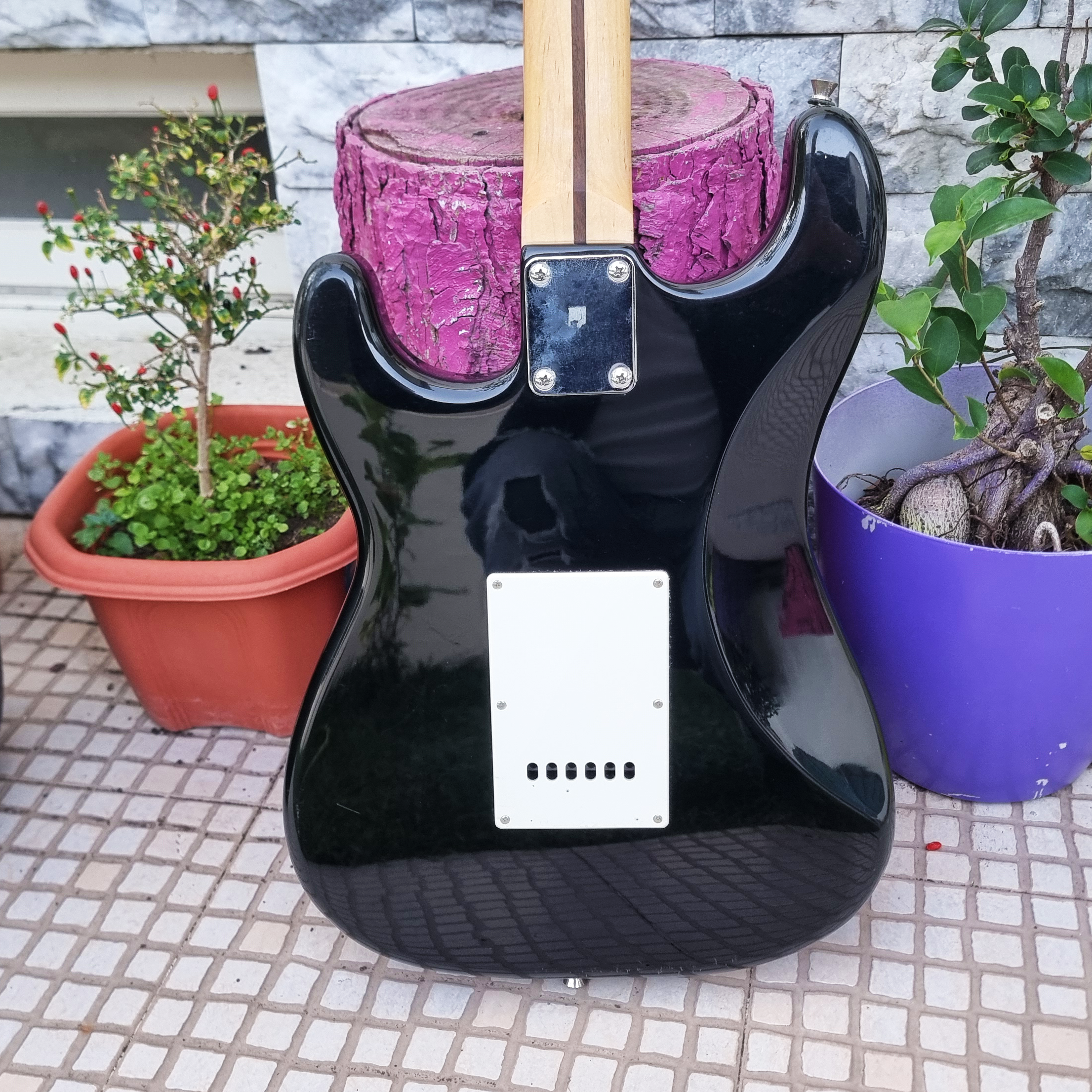 Guitarra Ridgewood Stratocaster