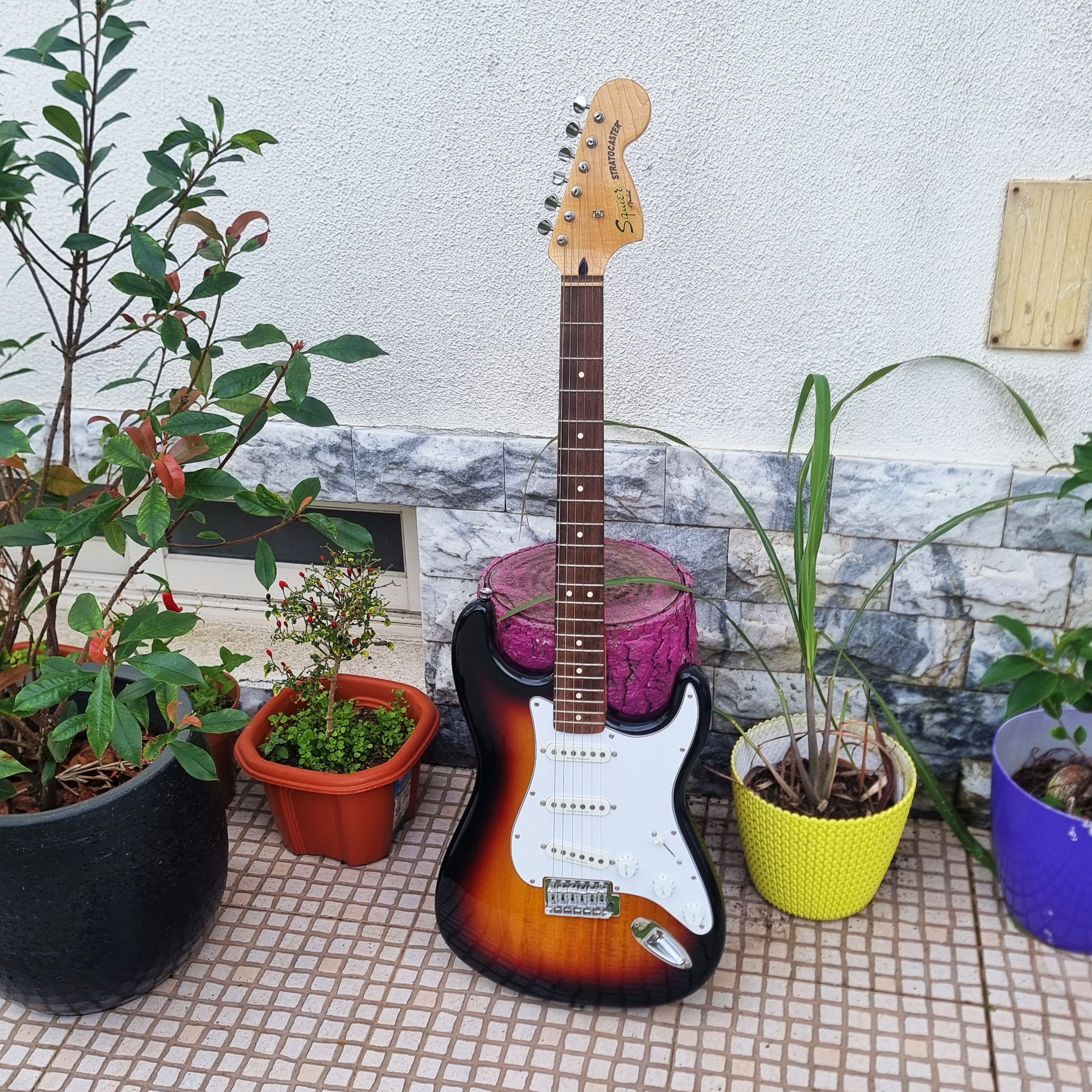 Guitarra Squier Standard Stratocaster