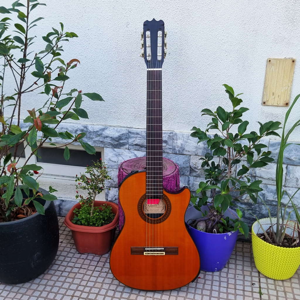 Guitarra Vester SAC-20