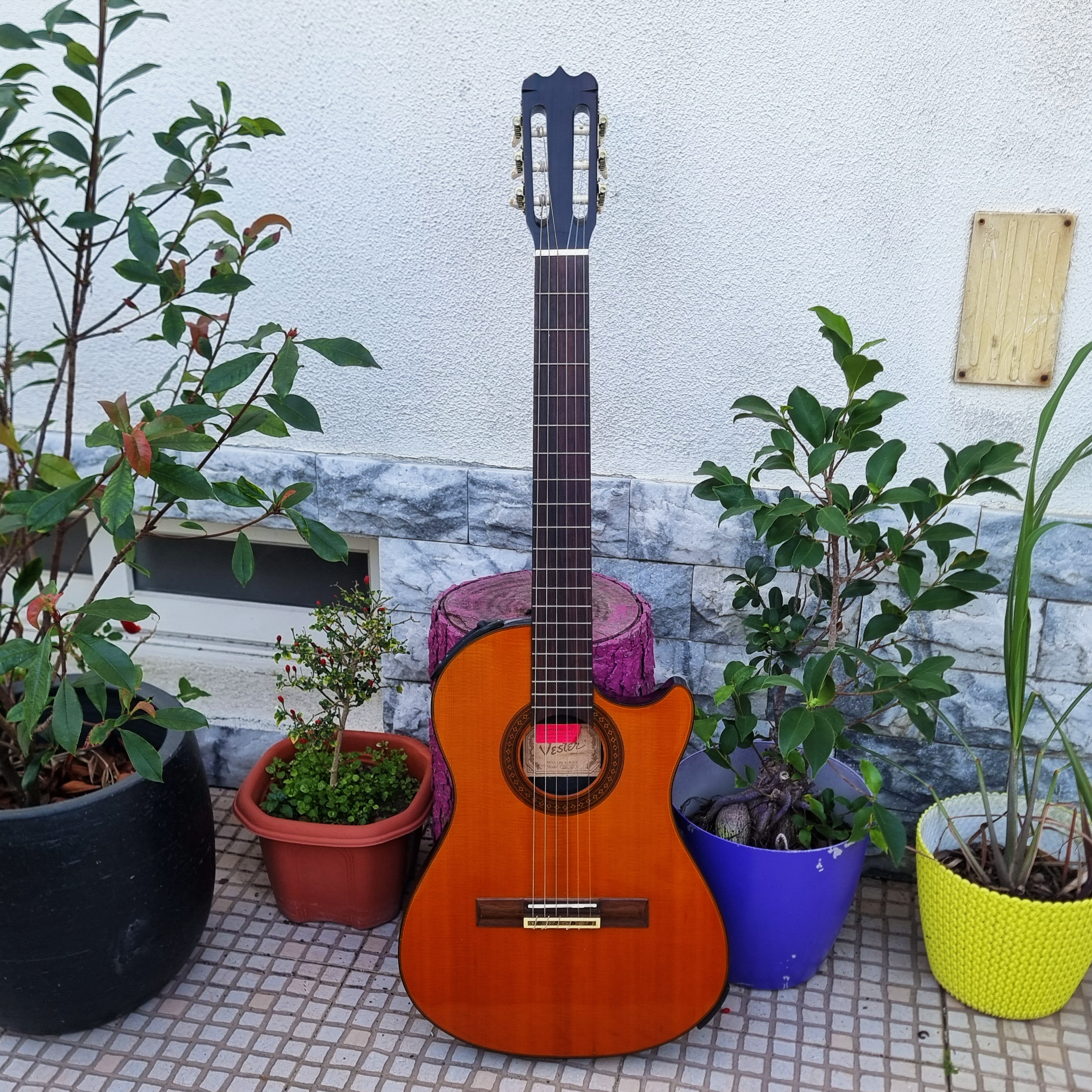 Guitarra Vester SAC-20