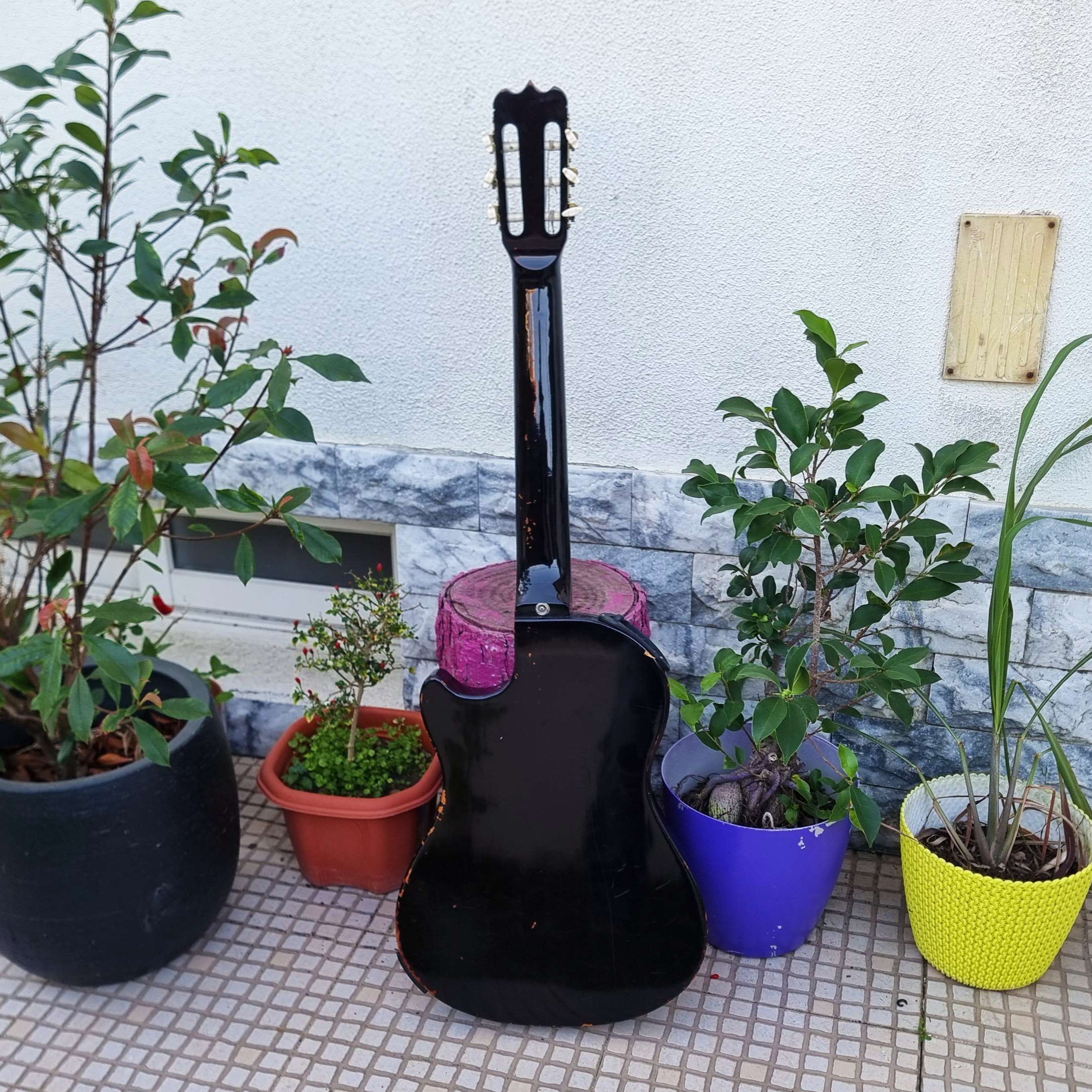 Guitarra Vester SAC-20