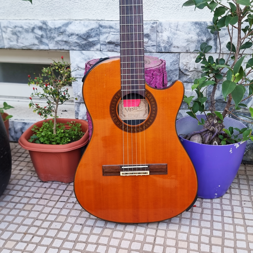 Guitarra Vester SAC-20