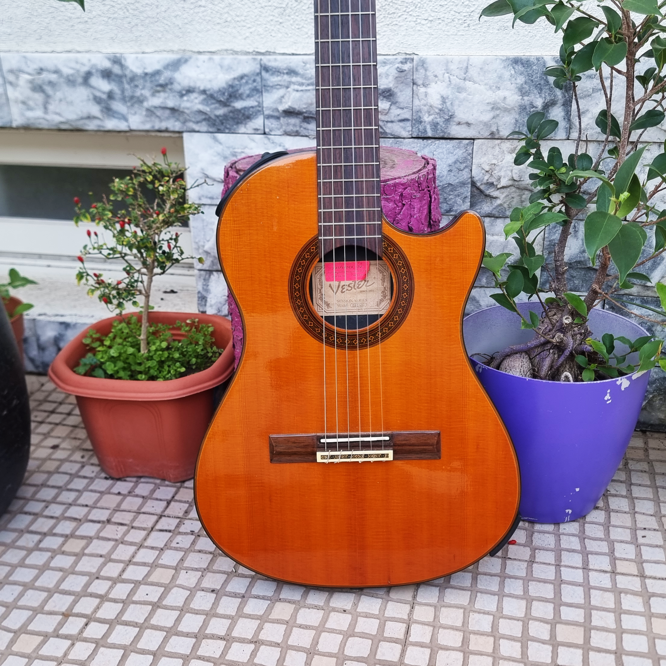 Guitarra Vester SAC-20