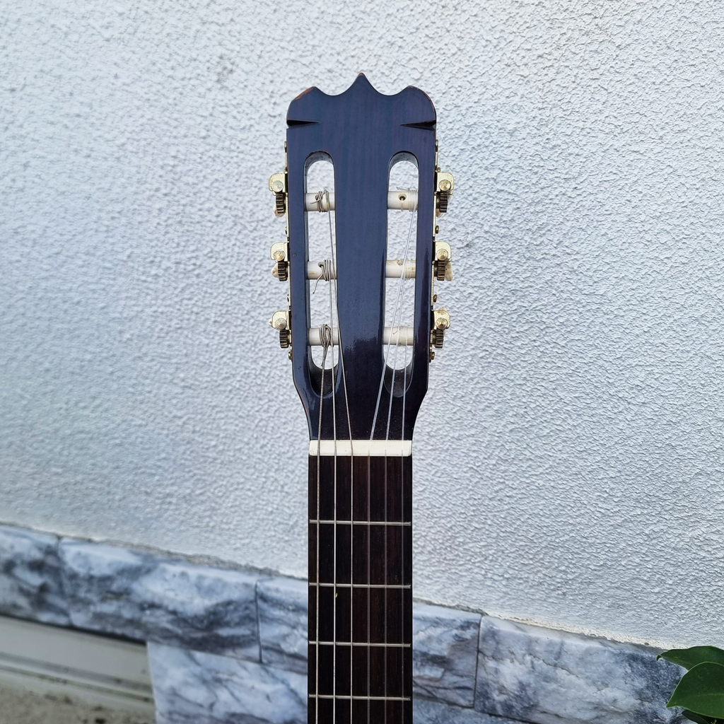 Guitarra Vester SAC-20