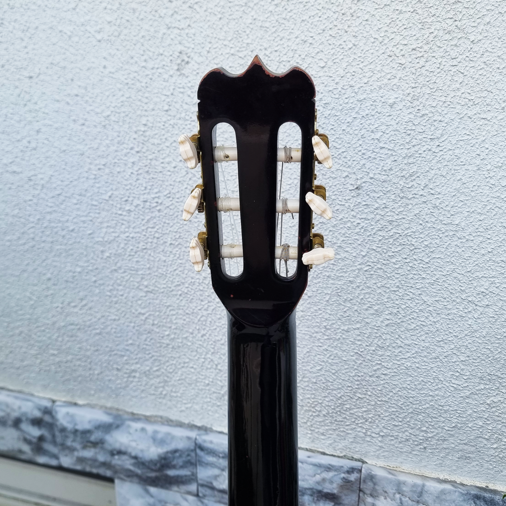 Guitarra Vester SAC-20