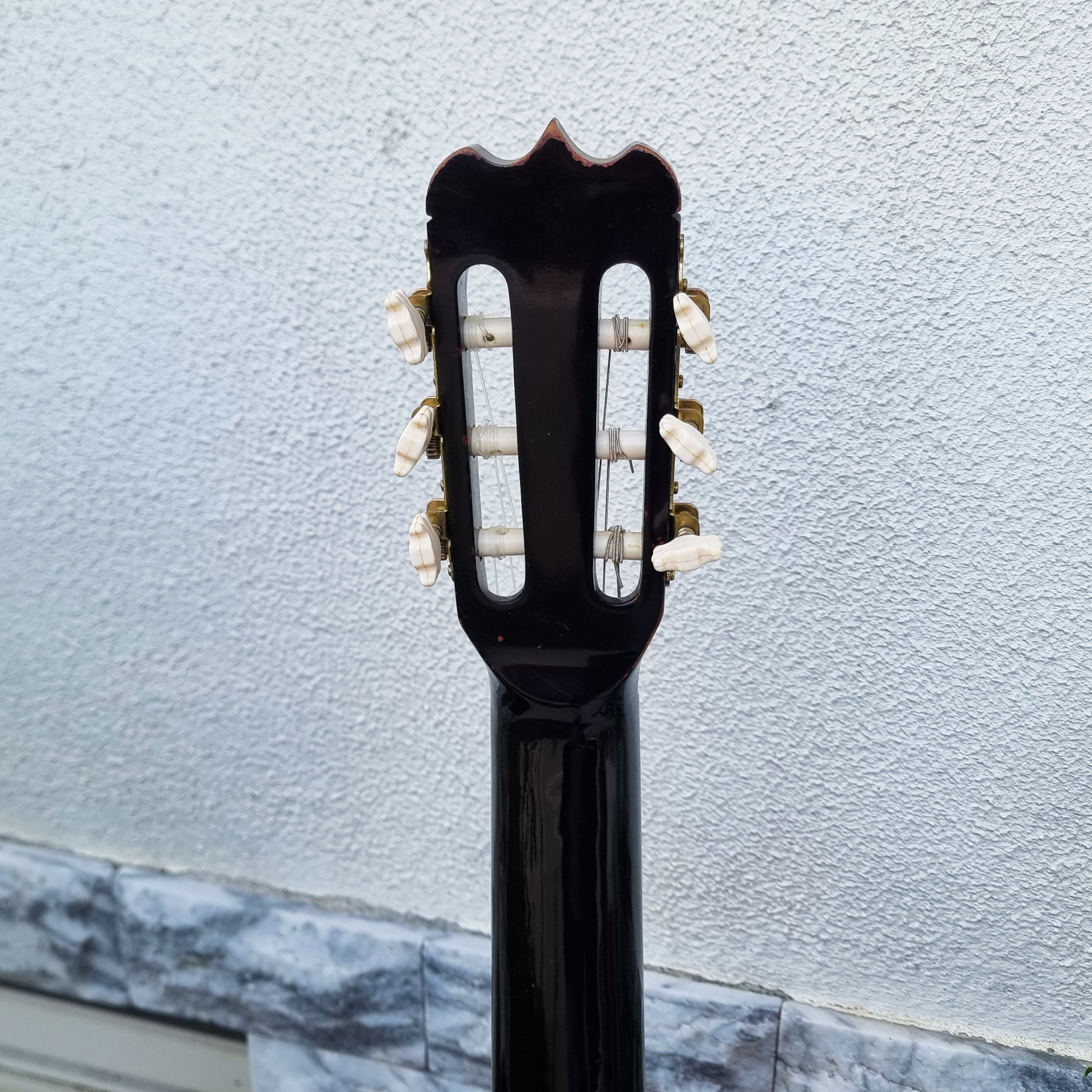 Guitarra Vester SAC-20