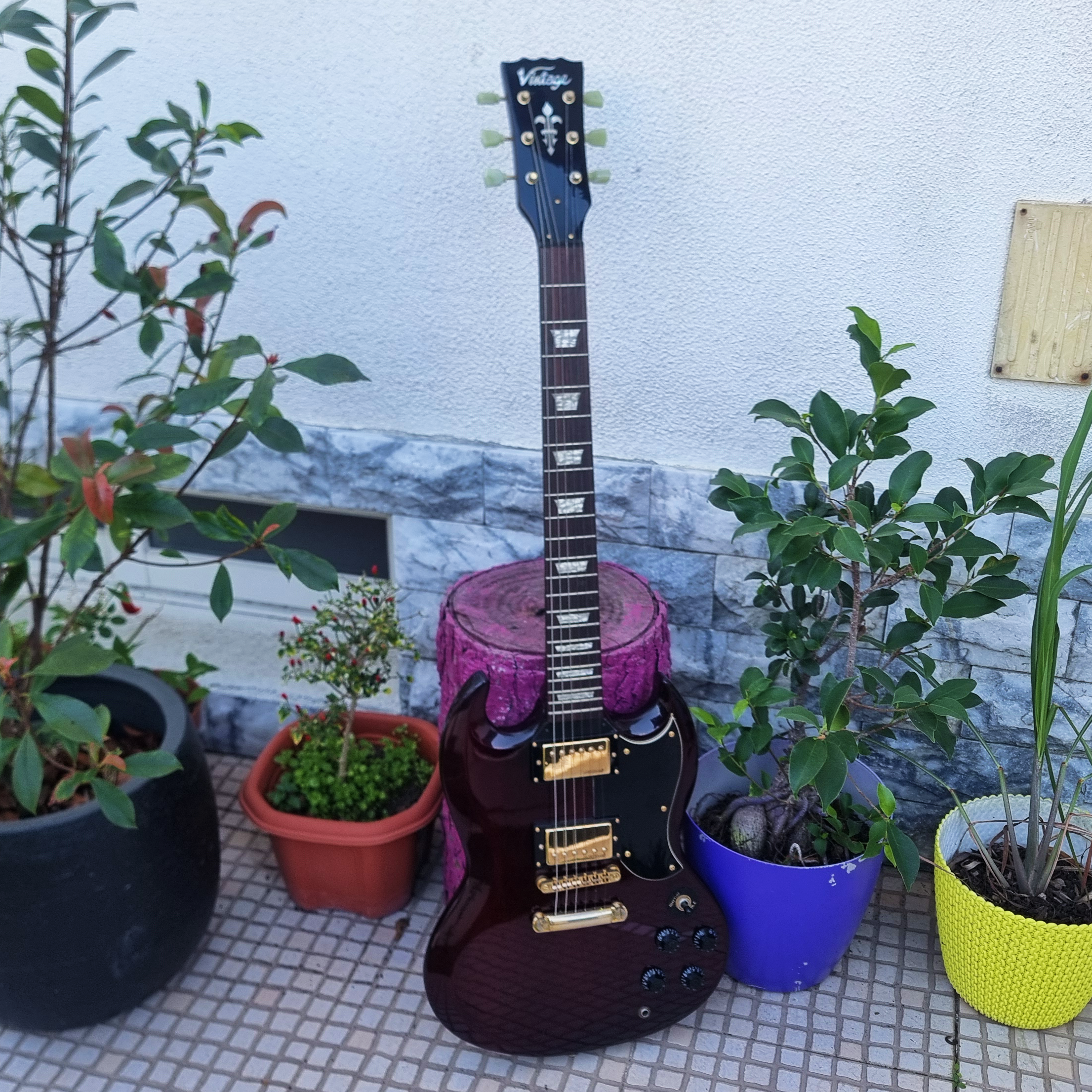 Guitarra Vintage VS6 SG Red