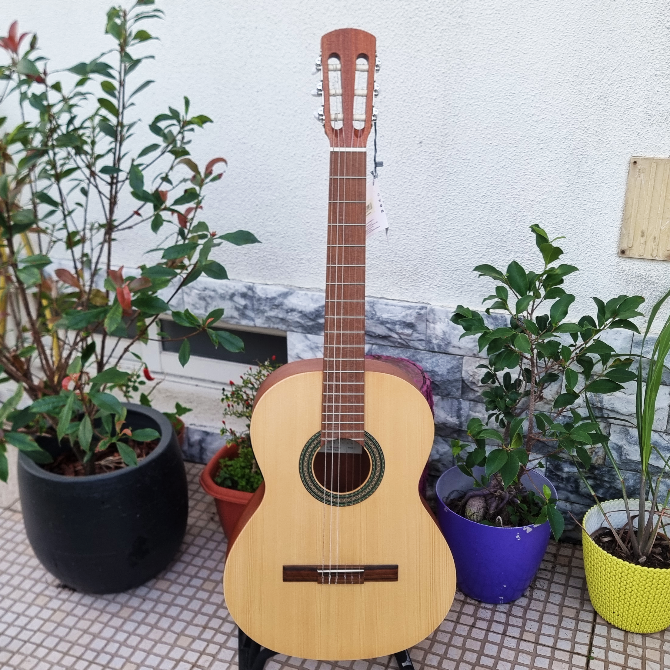 Guitarra Alhambra College 2 Laqant Abeto