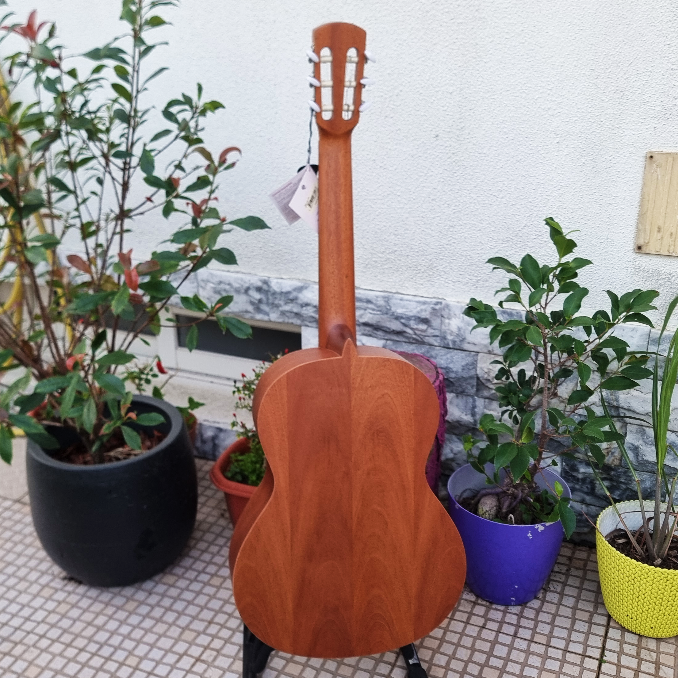 Guitarra Alhambra College 2 Laqant Abeto
