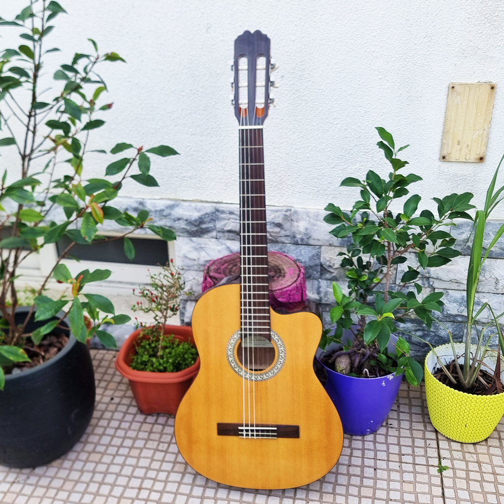 Guitarra Admira Sara EC CW