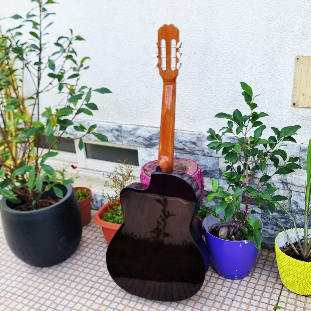 Guitarra Admira Sara EC CW
