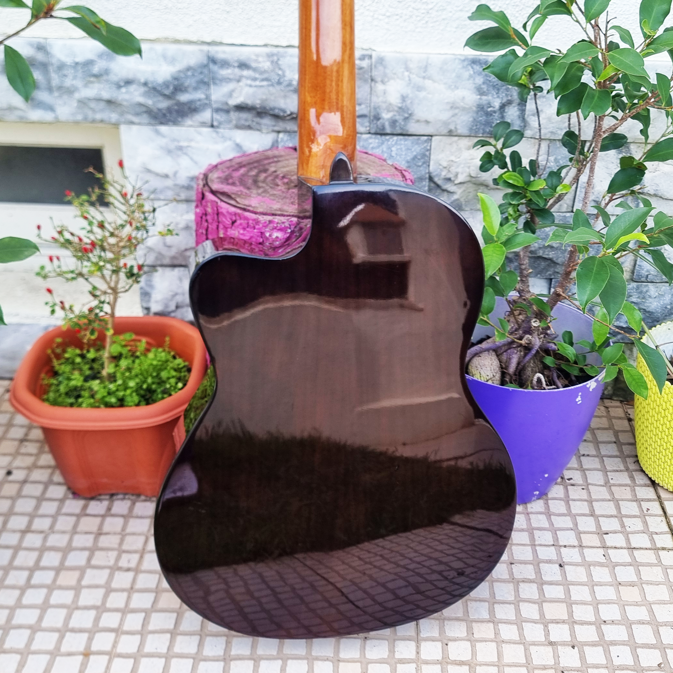 Guitarra Admira Sara EC CW