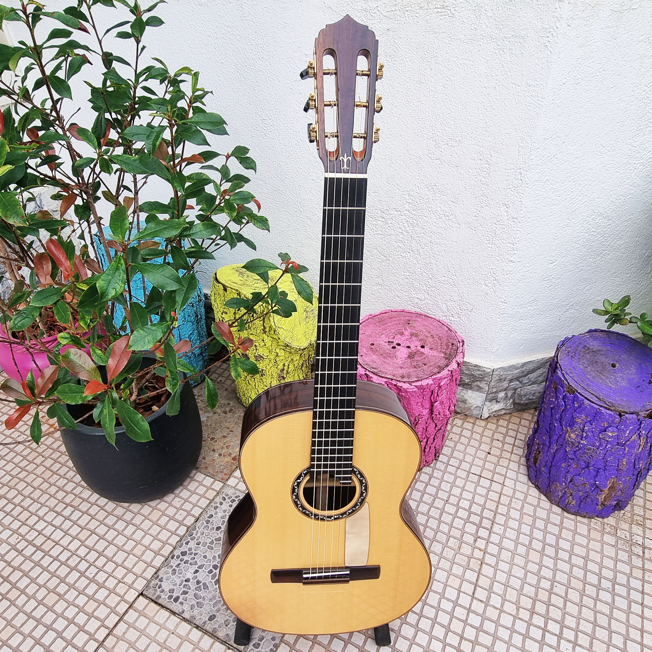 Viola de Fado Flor de Liz