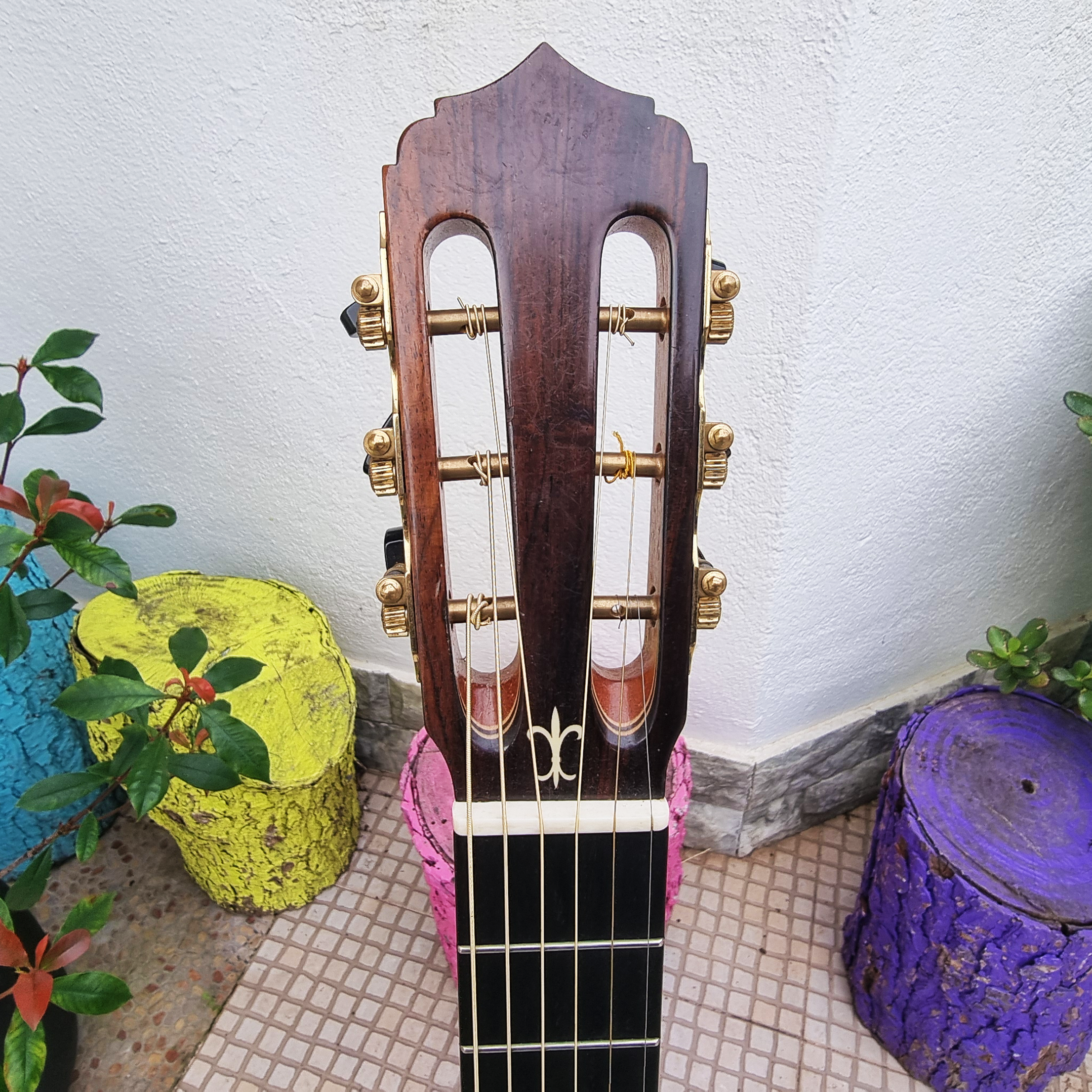 Viola de Fado Flor de Liz