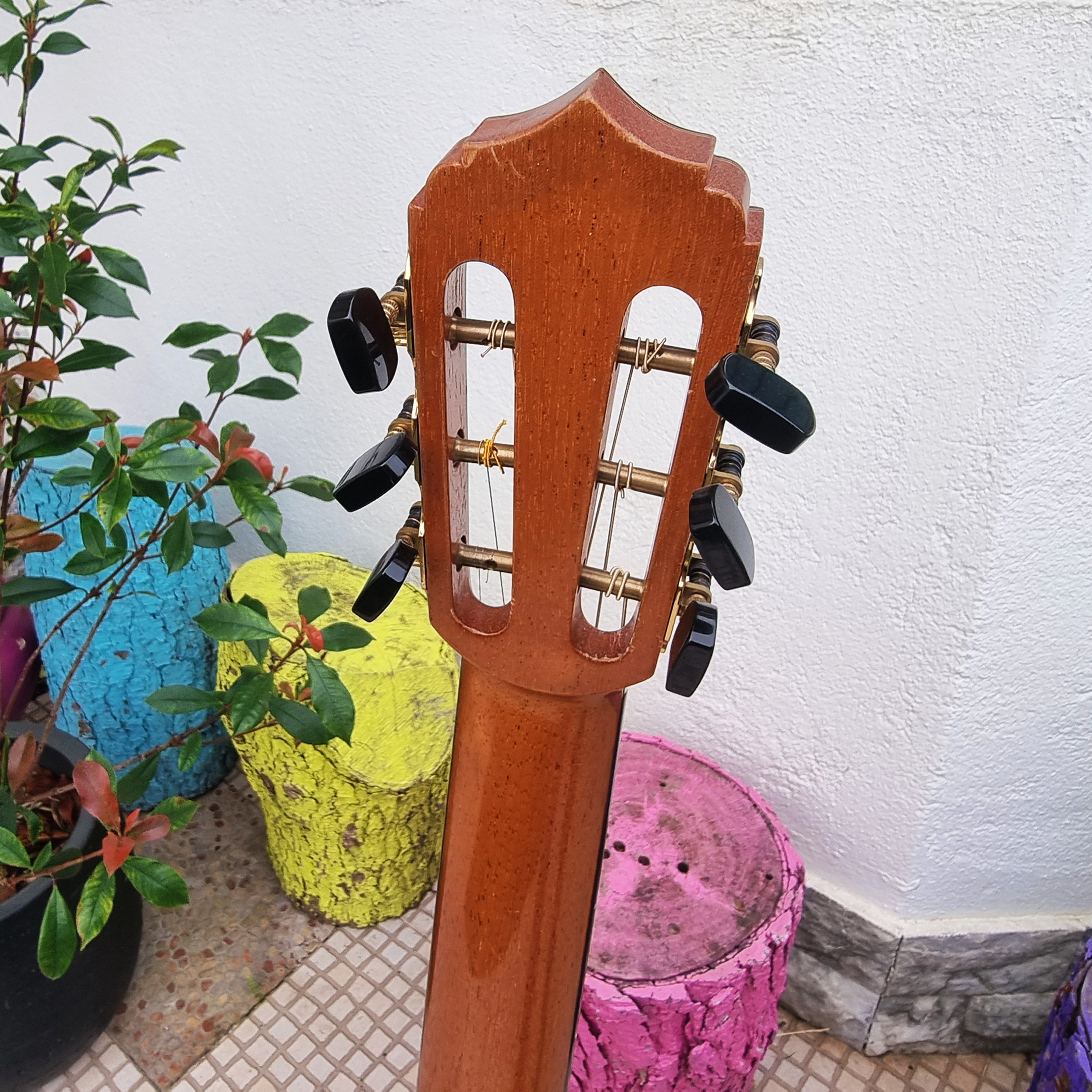 Viola de Fado Flor de Liz