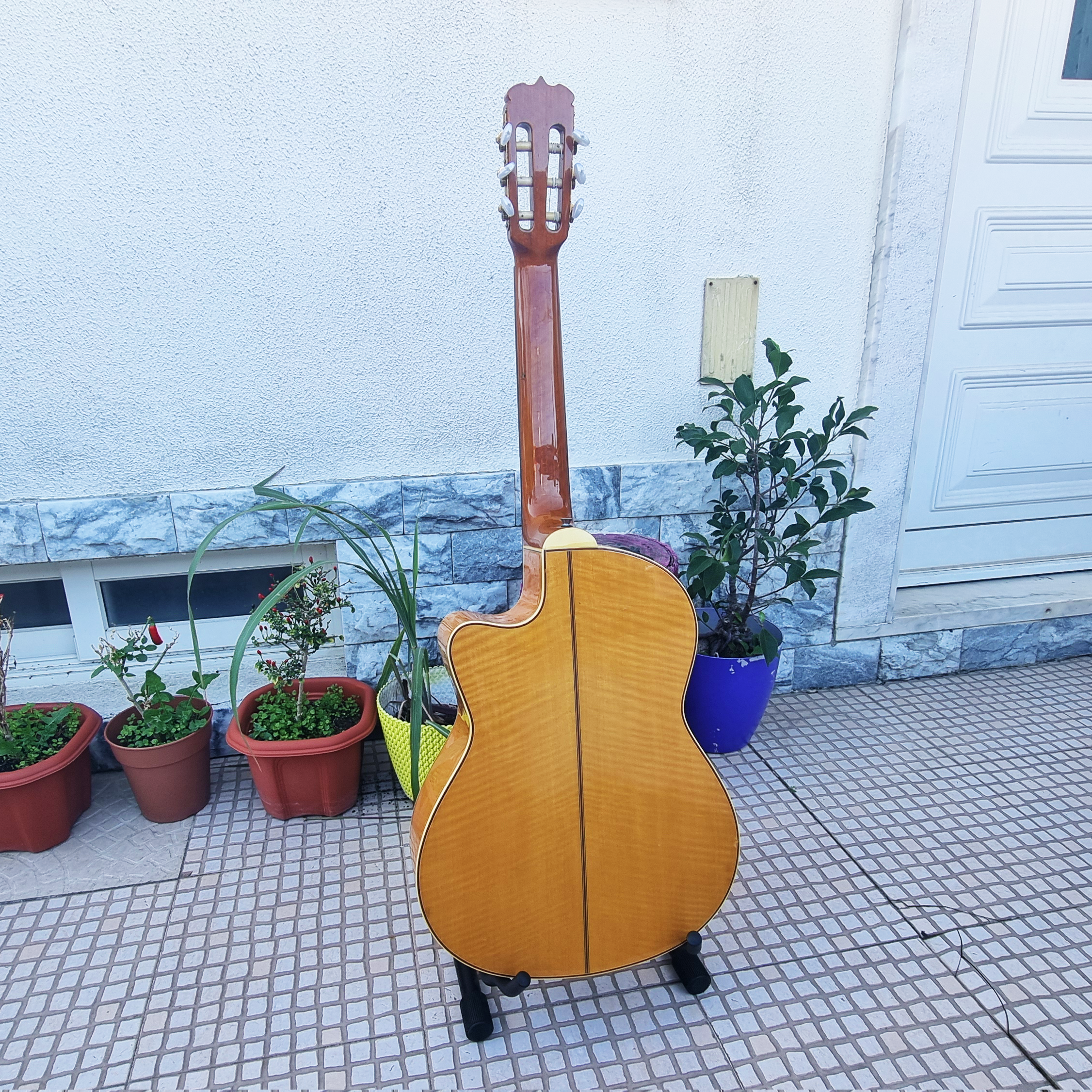 Guitarra Takamine Jasmine TC-48 MC