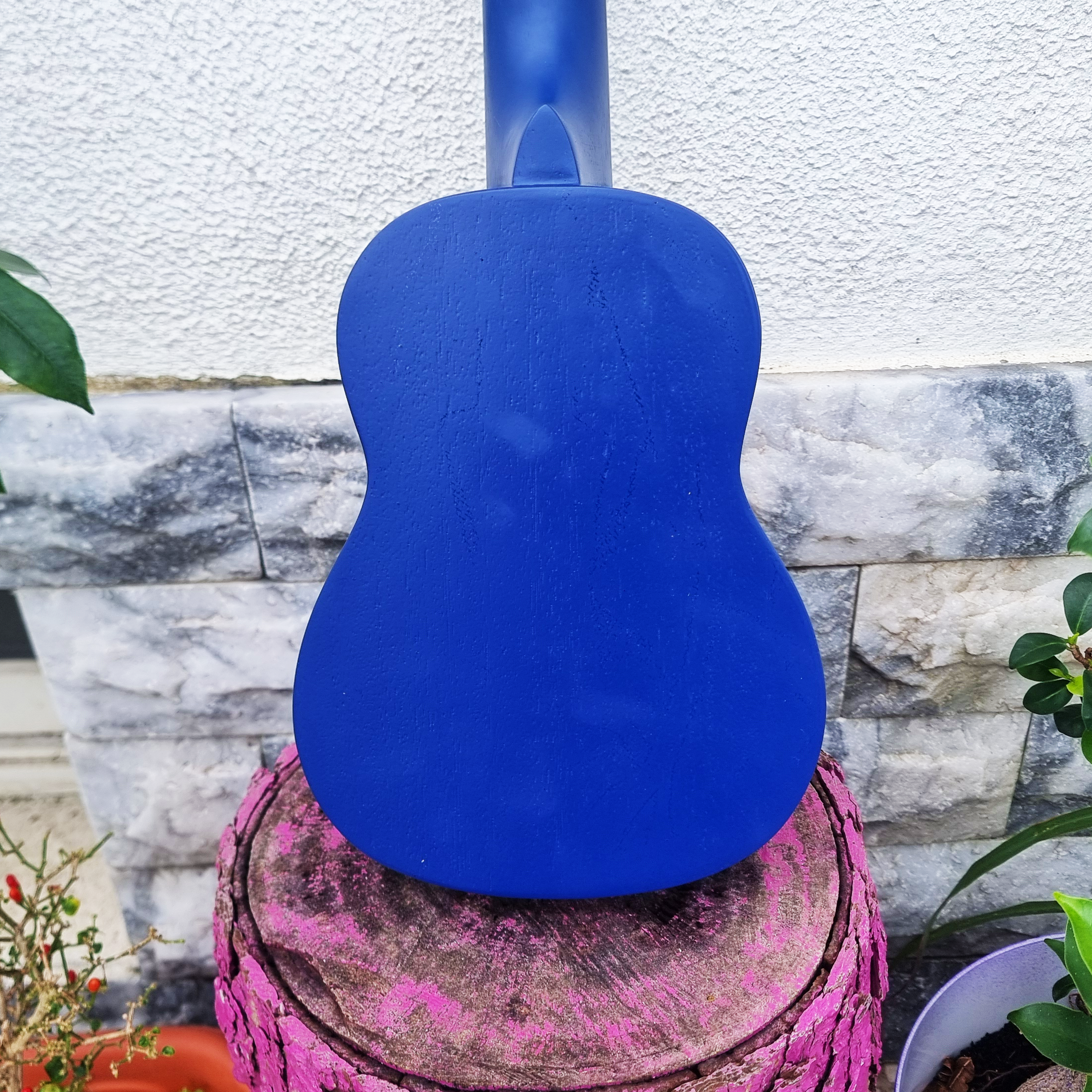 Ukelele Soprano Flores de Coral