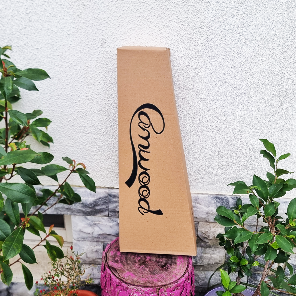 Ukelele soprano Coco