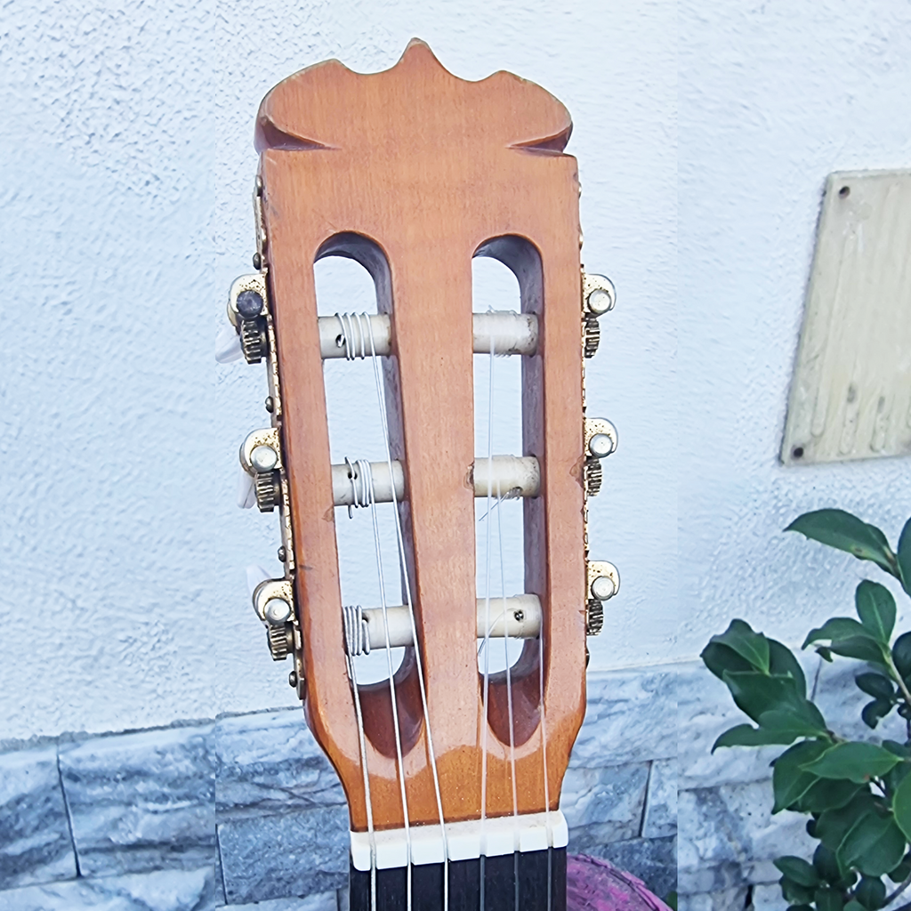 Guitarra Takamine Jasmine TC-48 MC