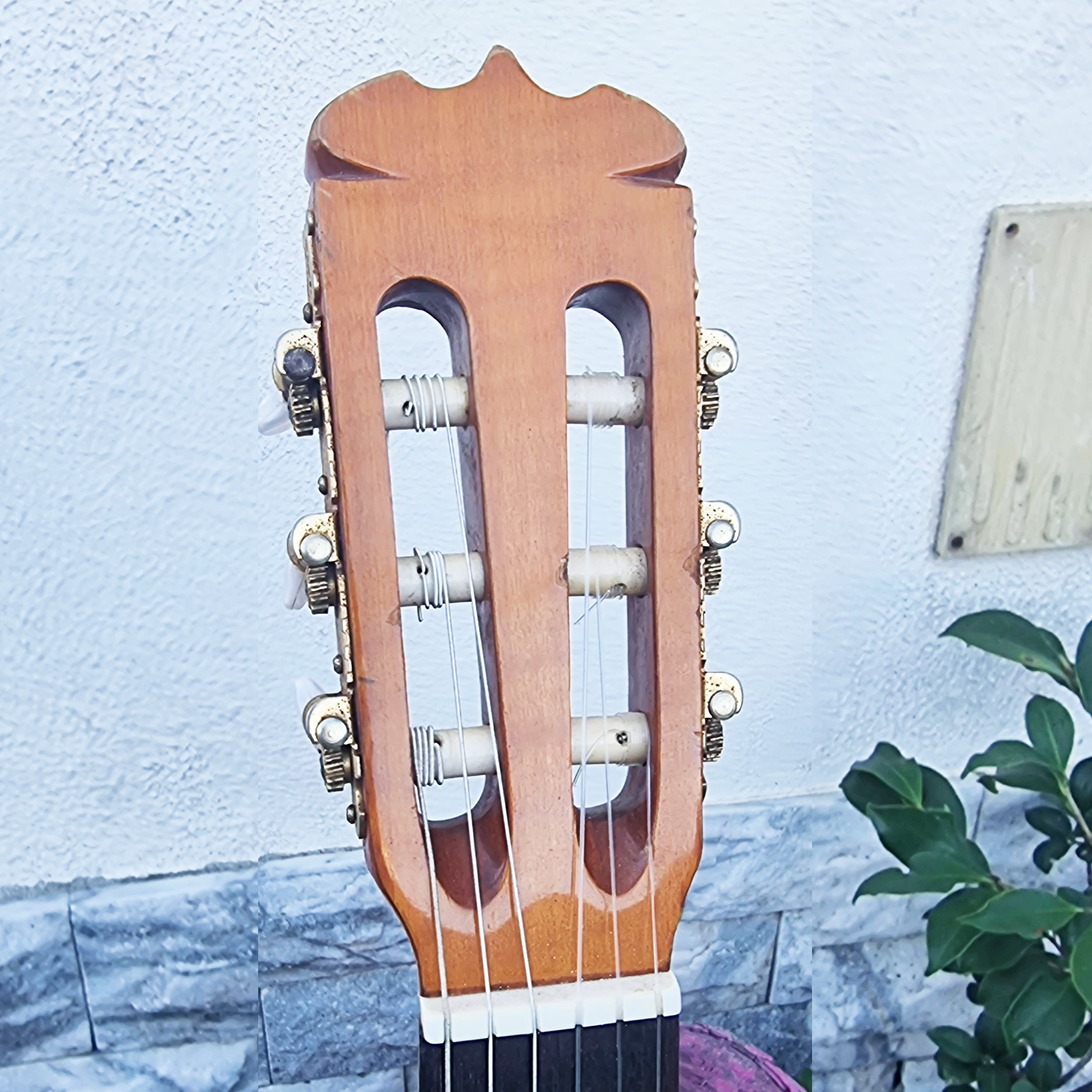 Guitarra Takamine Jasmine TC-48 MC